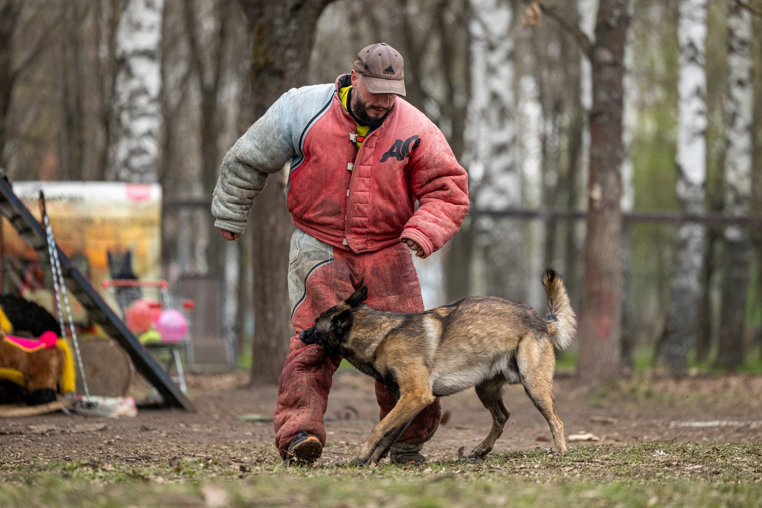 Квалификационные состязания по мондьорингу г. Вологда 11.05.24. Фотограф-анималист Анна Маринич