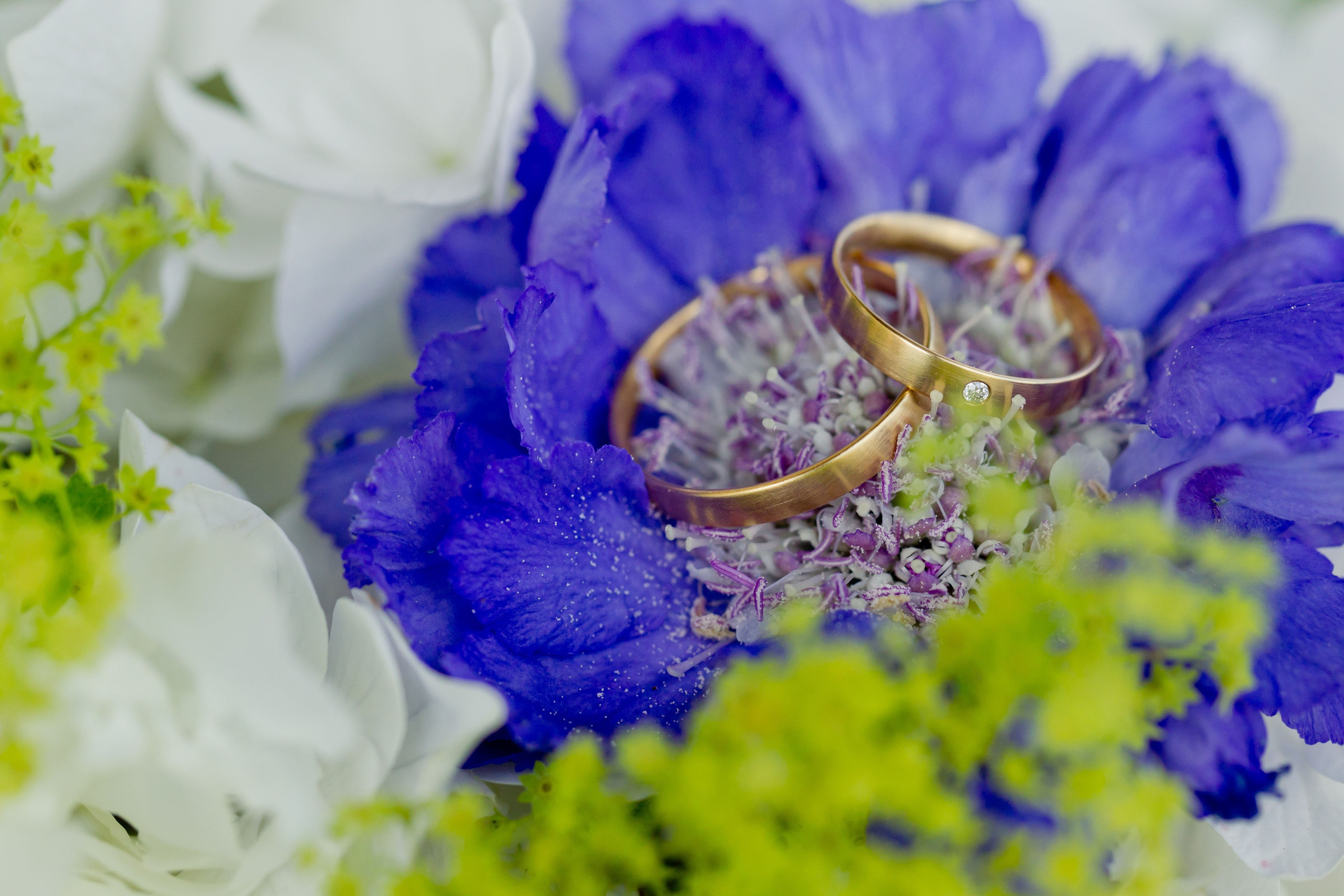 Свадьба Завидово. Фотограф Алексей Архангельский