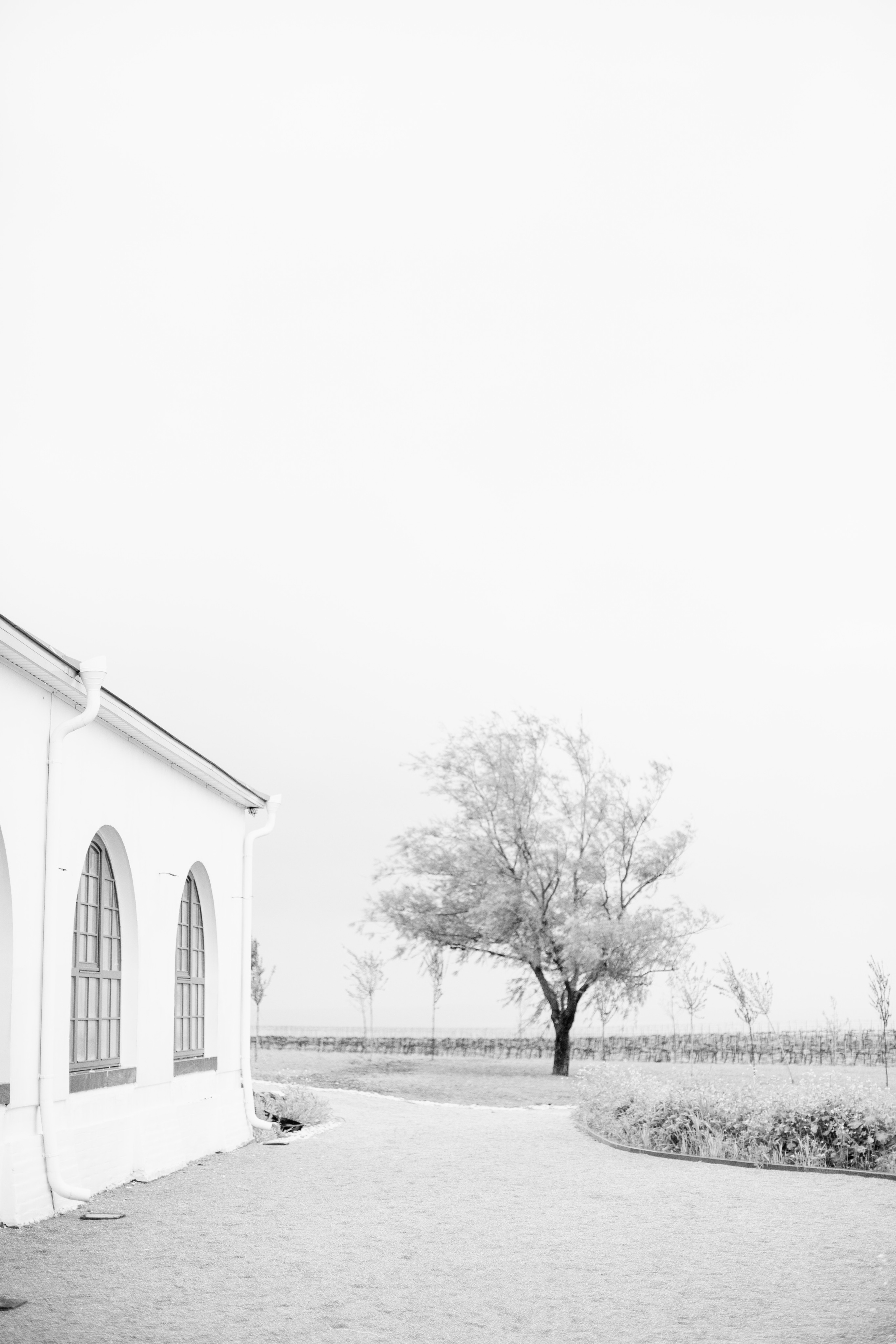 Ксения и Андрей. Свадебный фотограф Краснодар