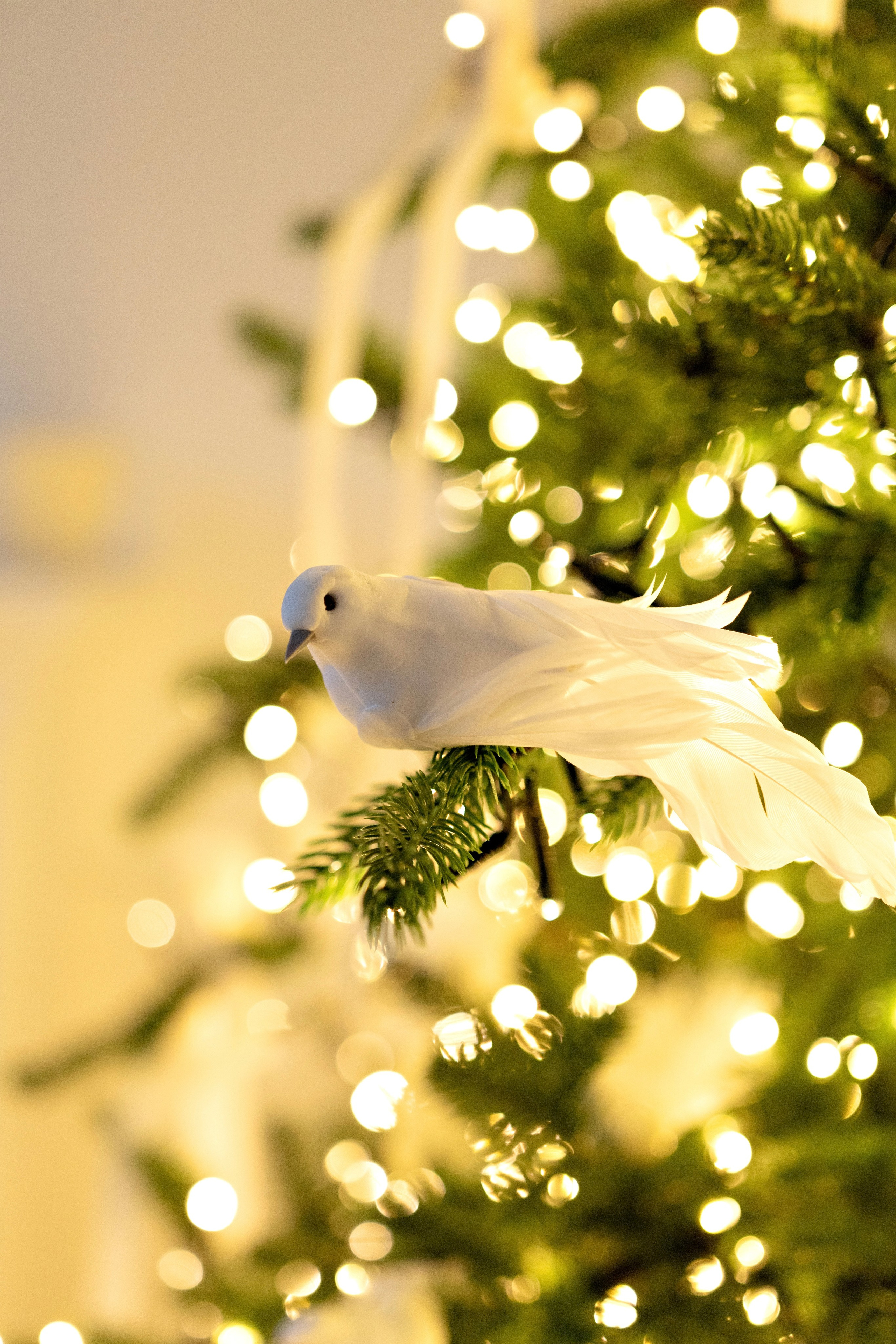 Family. Елена Задорина