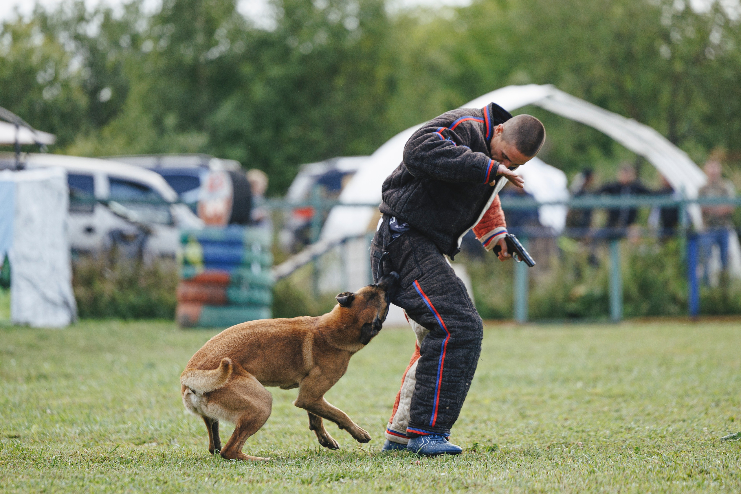 08.08.25-10.08.25 ЧР по мондьорингу г. Вологда. Фотограф-анималист Анна Маринич