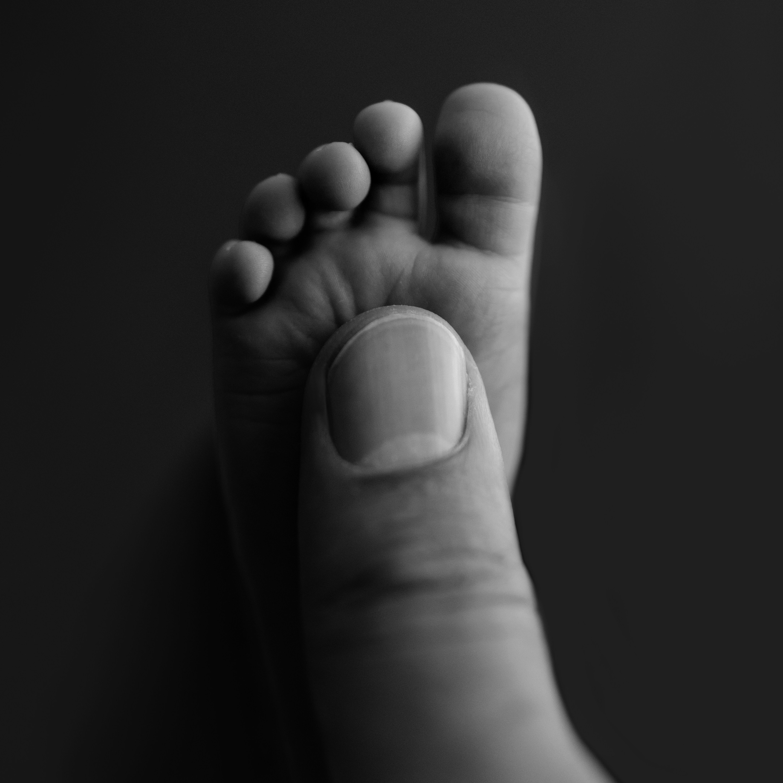 Новорожденные. Семейный фотограф в Мюнхене Даша Антипина