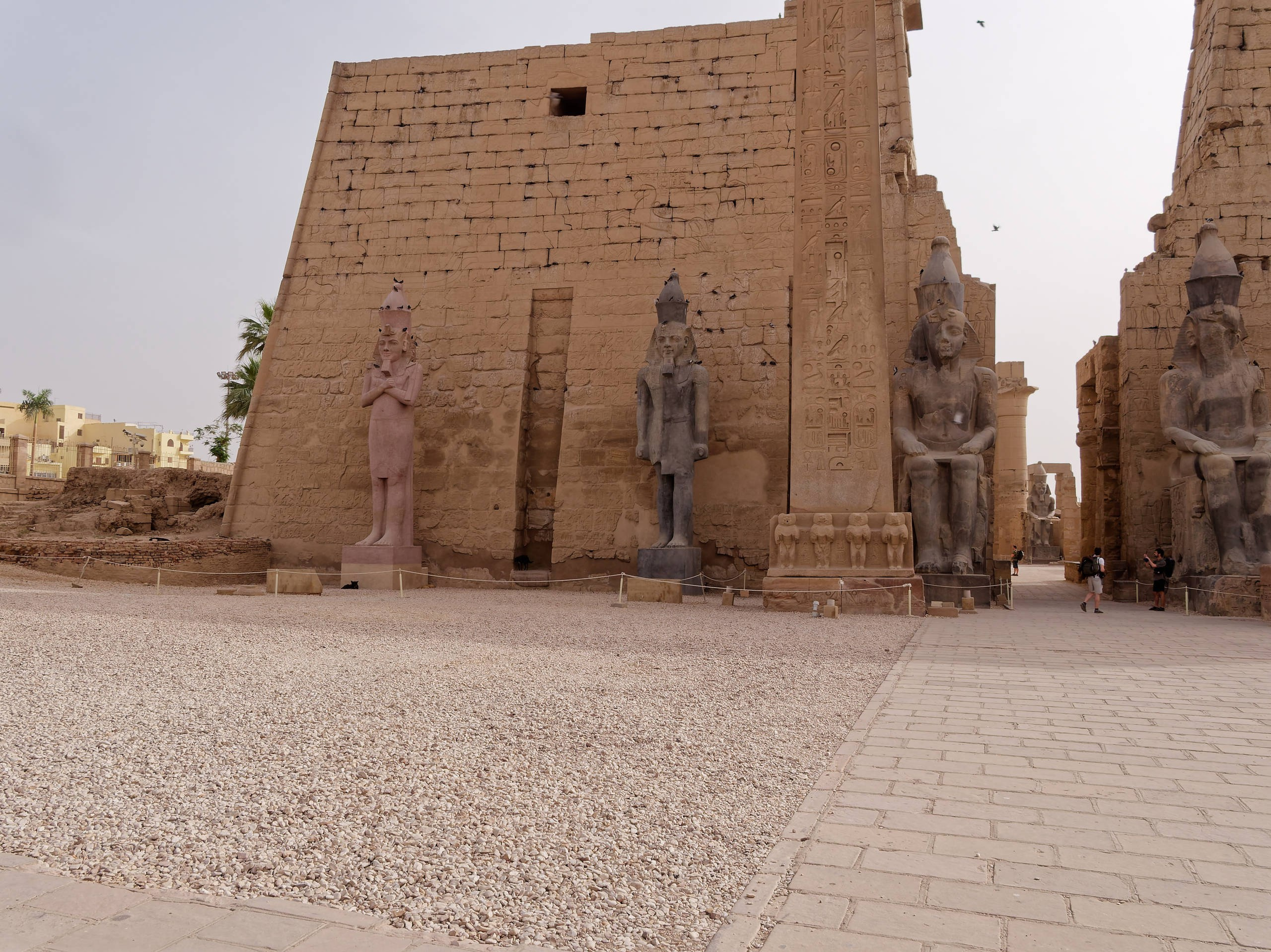 Луксор 2022, Луксорский храм. Избранные фотографии