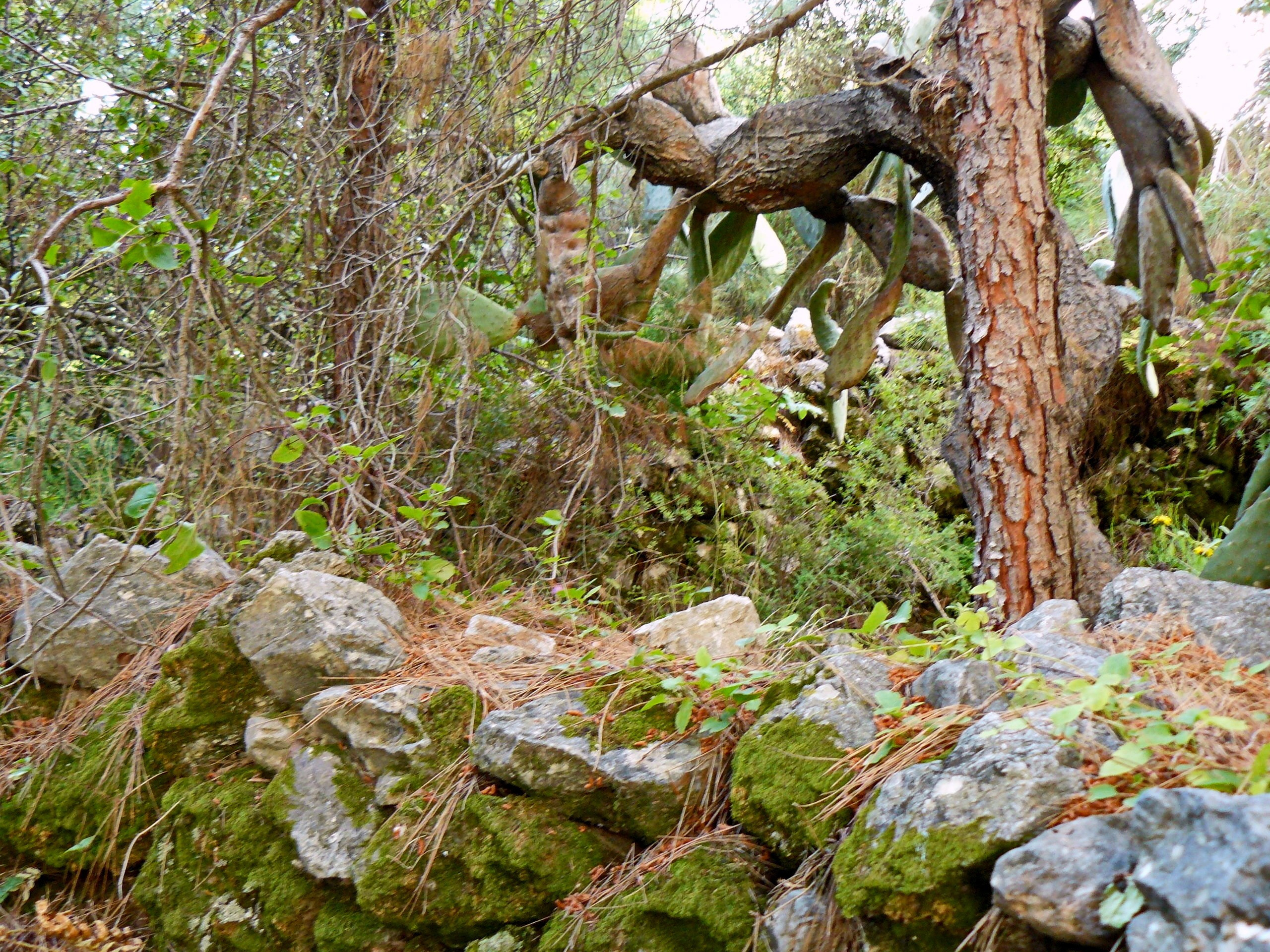 Алания 2014 старая крепость. Фотопрогулки по Миру