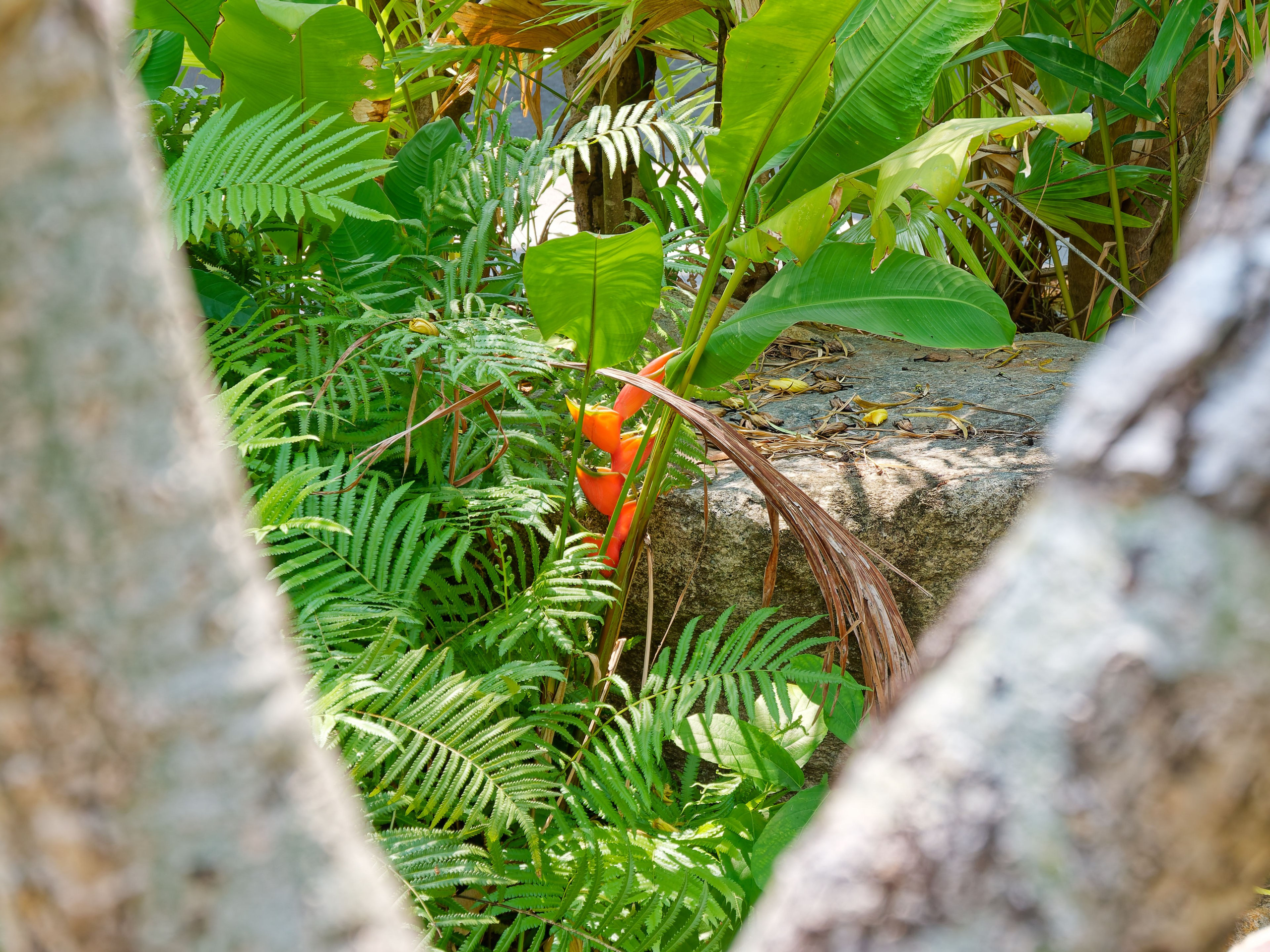 Хайнань 2026, первые впечатления. Фотопрогулки по Миру
