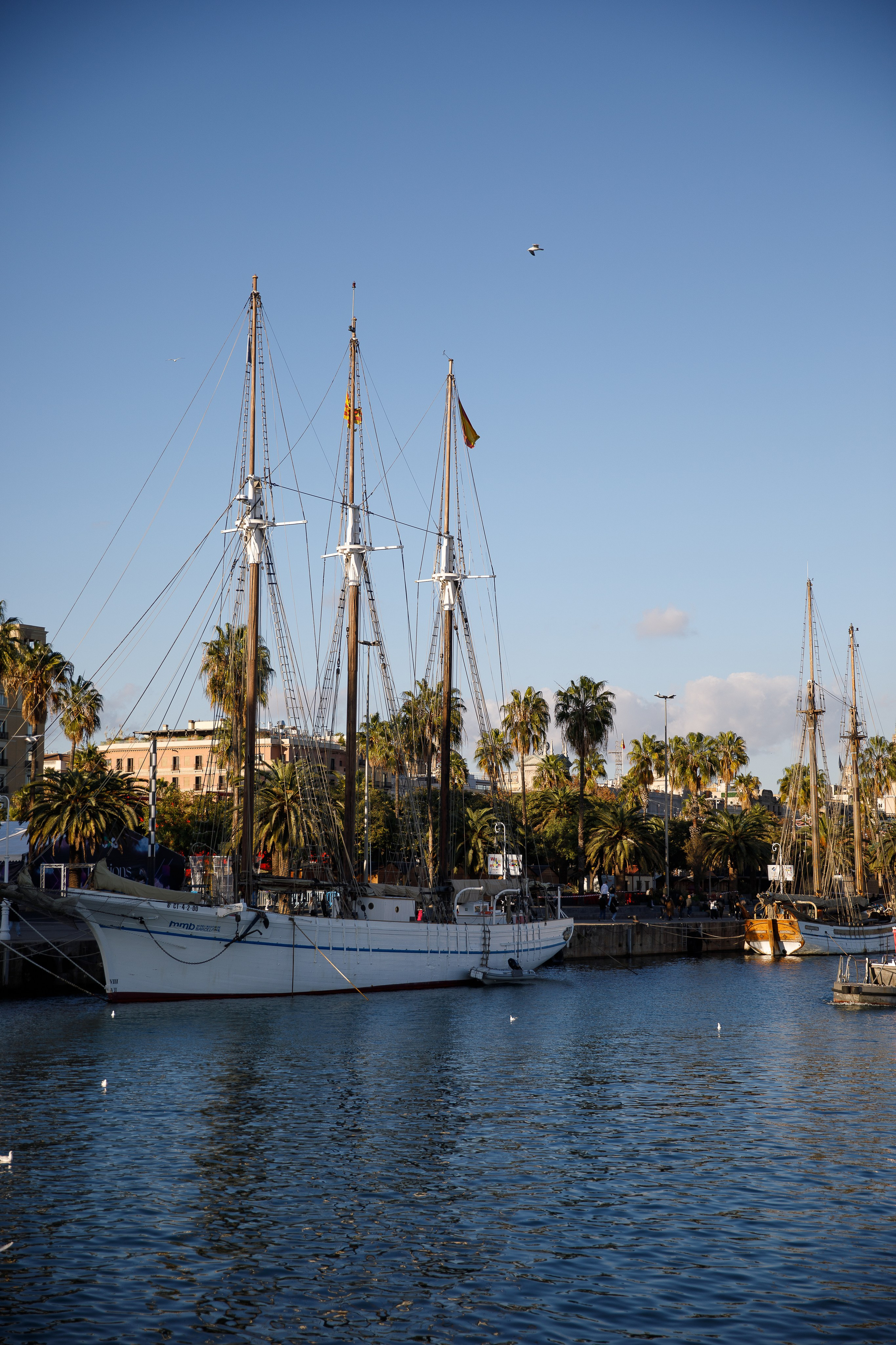 Барселона. Репортажный и портретный фотограф Русакова Жанна
