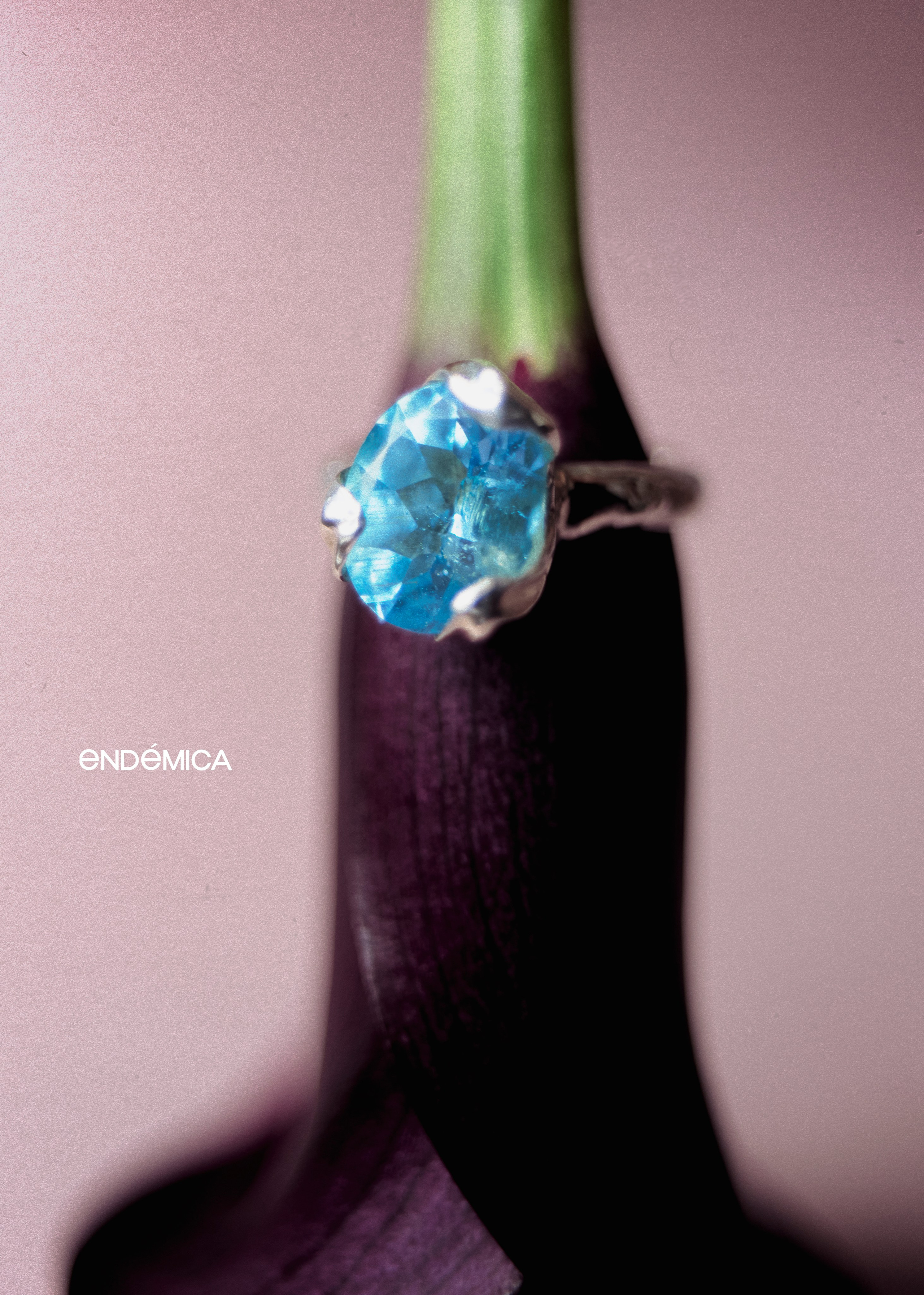 Endemica. ㅤ