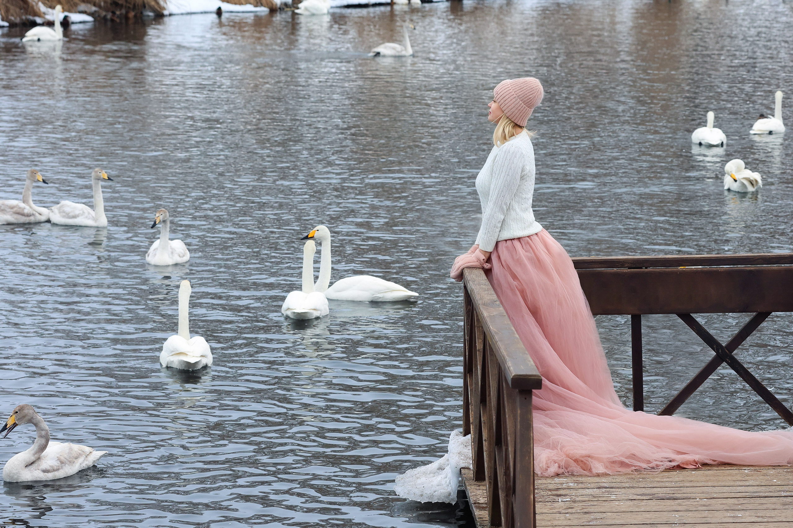 Лебединое озеро. Сказочный фотограф фотопроекты фототуры в Новосибирске и на Алтае