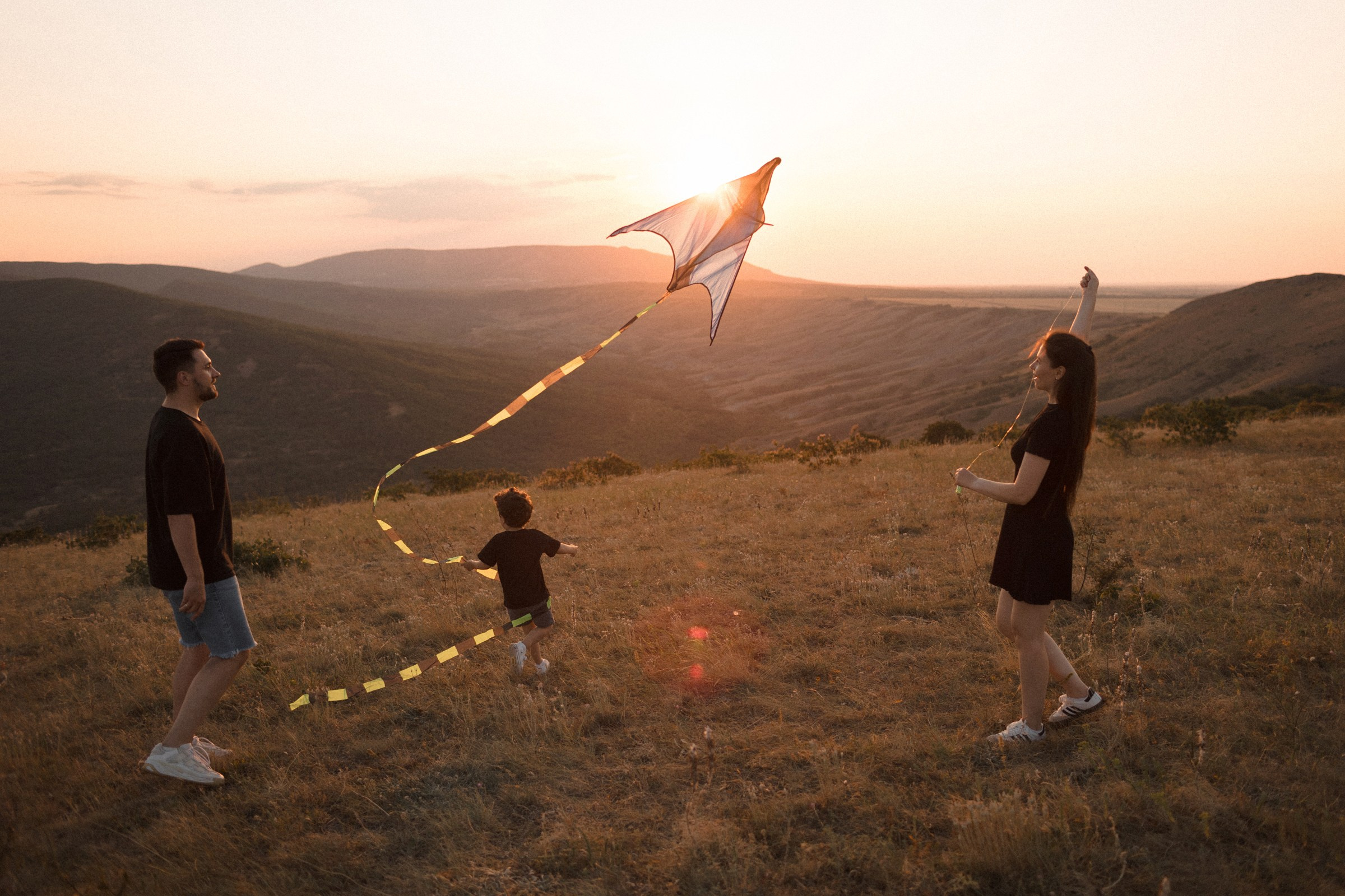 Воздушный змей. Sovushka DS