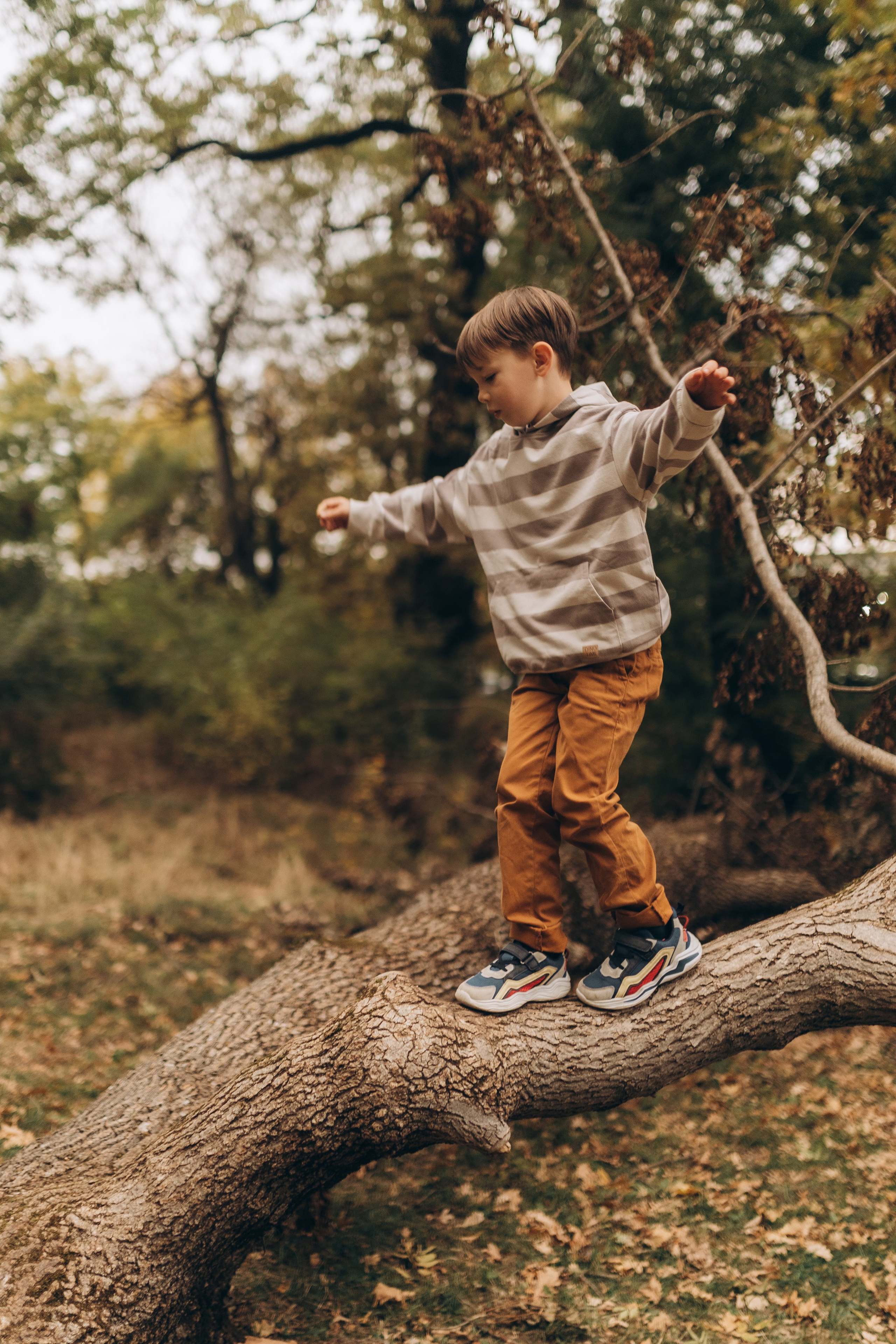 Осенняя фотосессия в ожидании чуда. Фотограф в Ставрополе Svetlana Matveeva