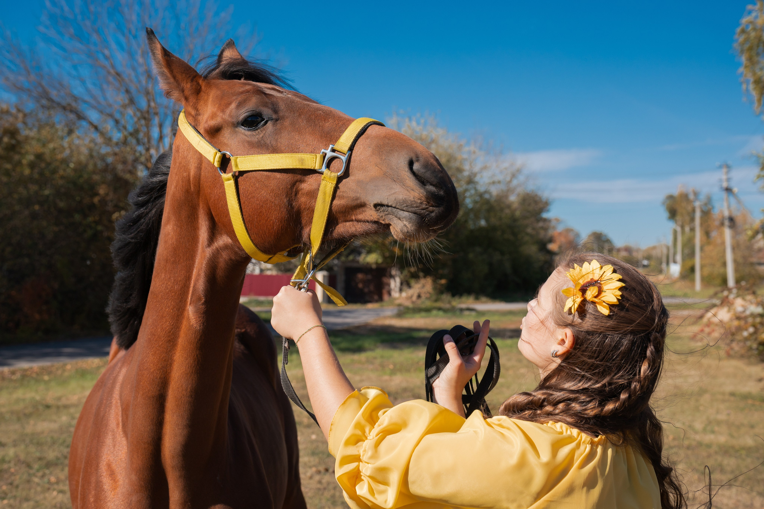 Фотосессия с лошадьми