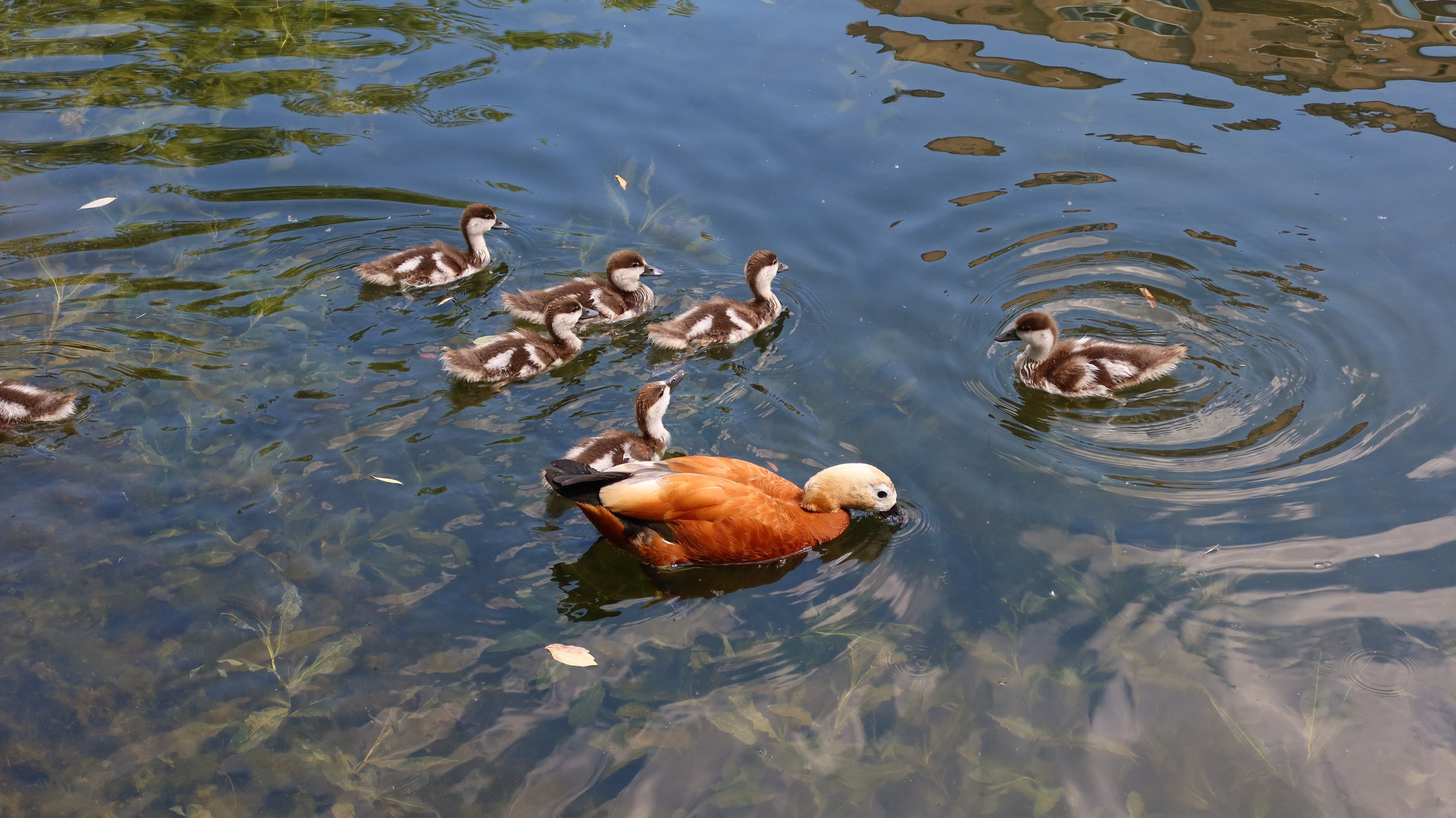 Антроповский сквер. Улица, люди, жизнь…