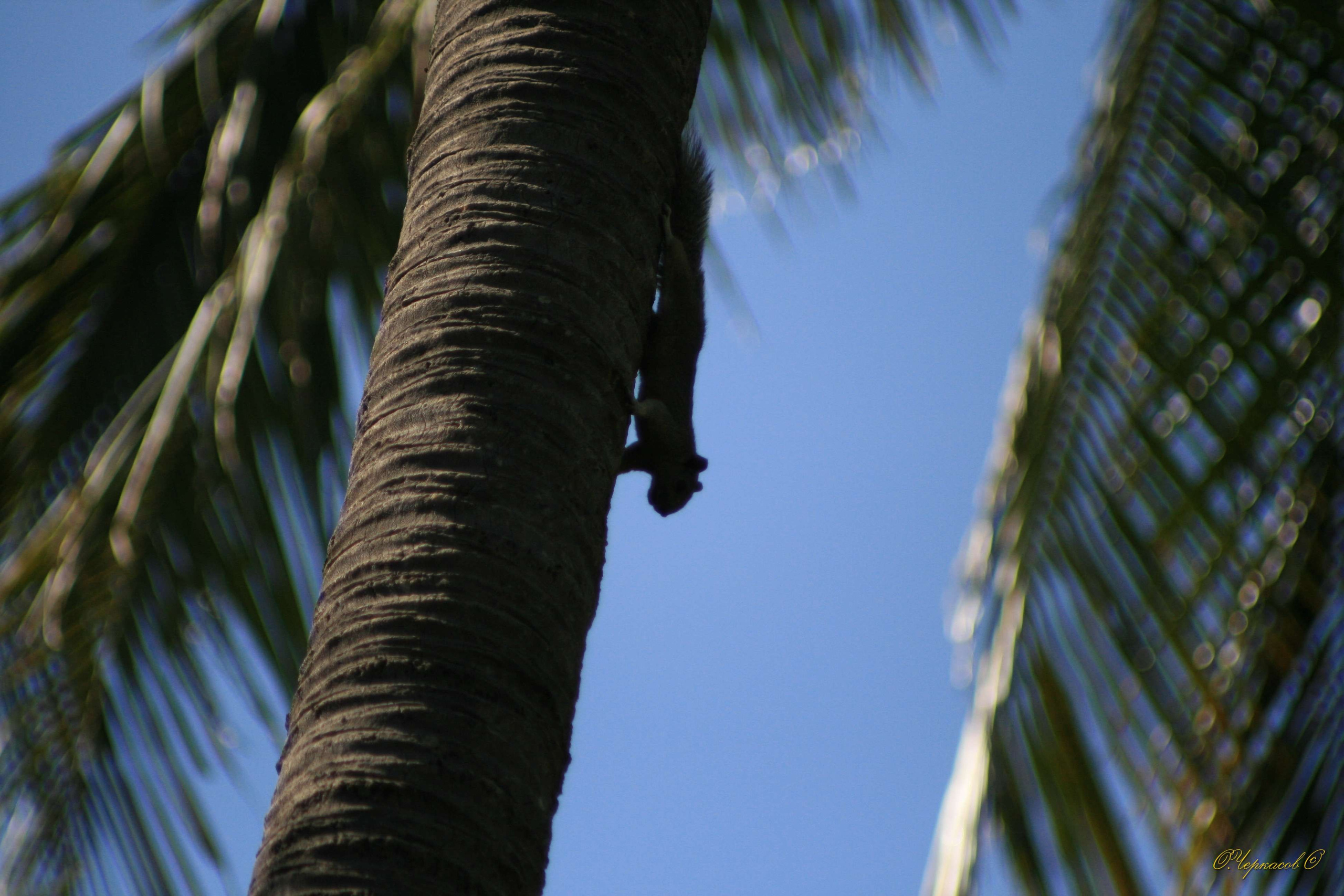 Вьетнам 2008 г. Улица, люди, жизнь…