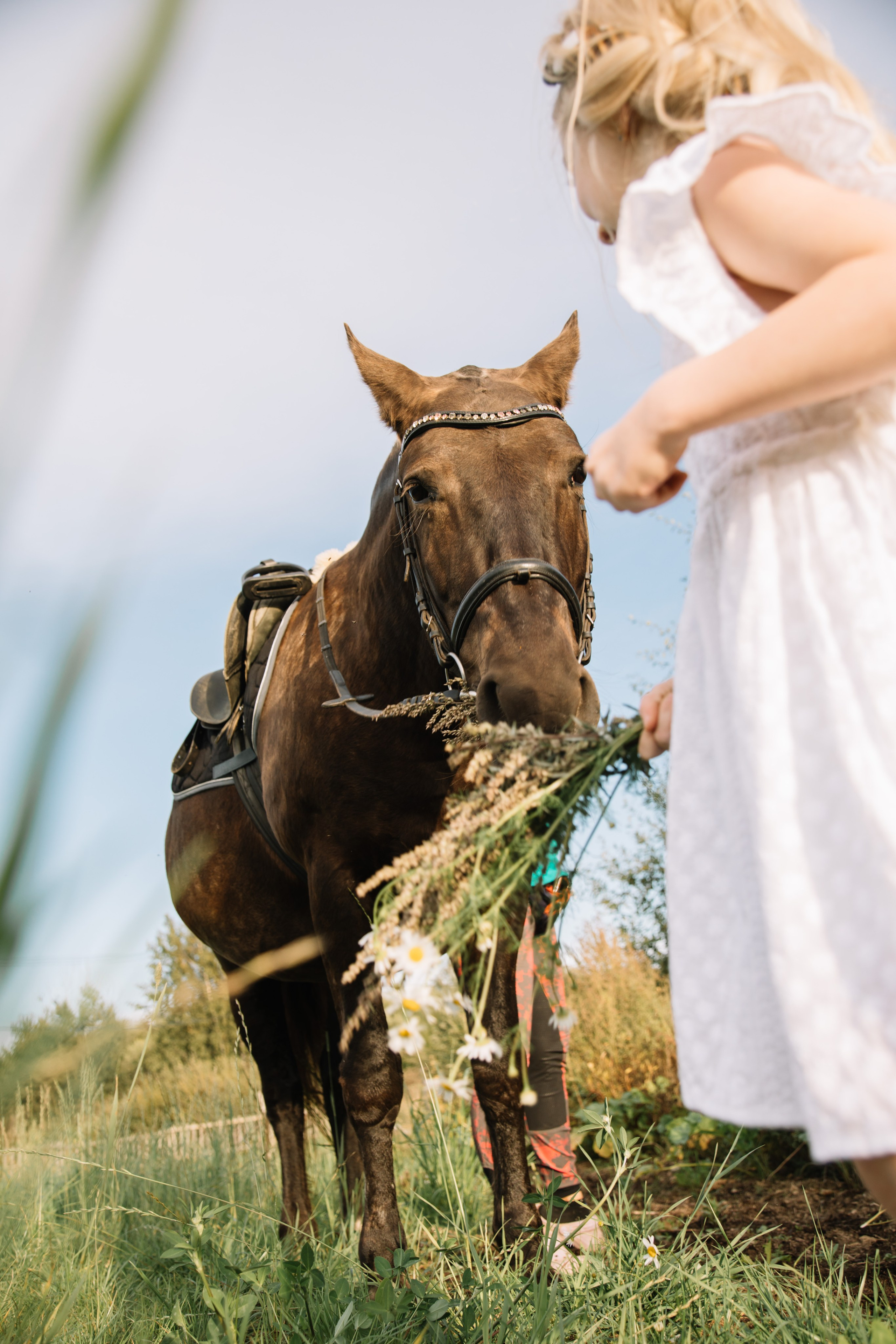 Семейные съемки. Фотограф и видеограф в Санкт-Петербурге Прохорова Надежда