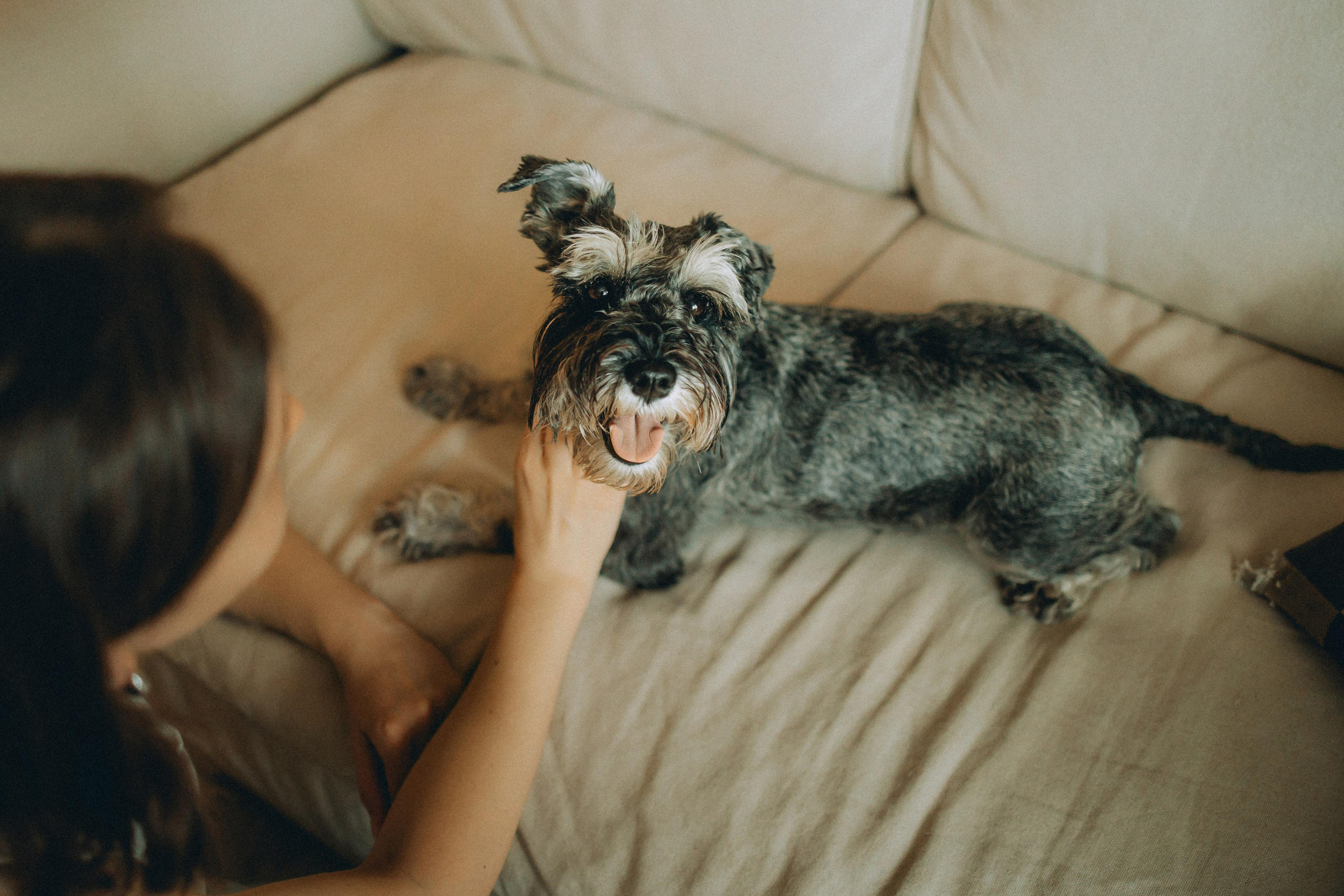 Лена и Зефир