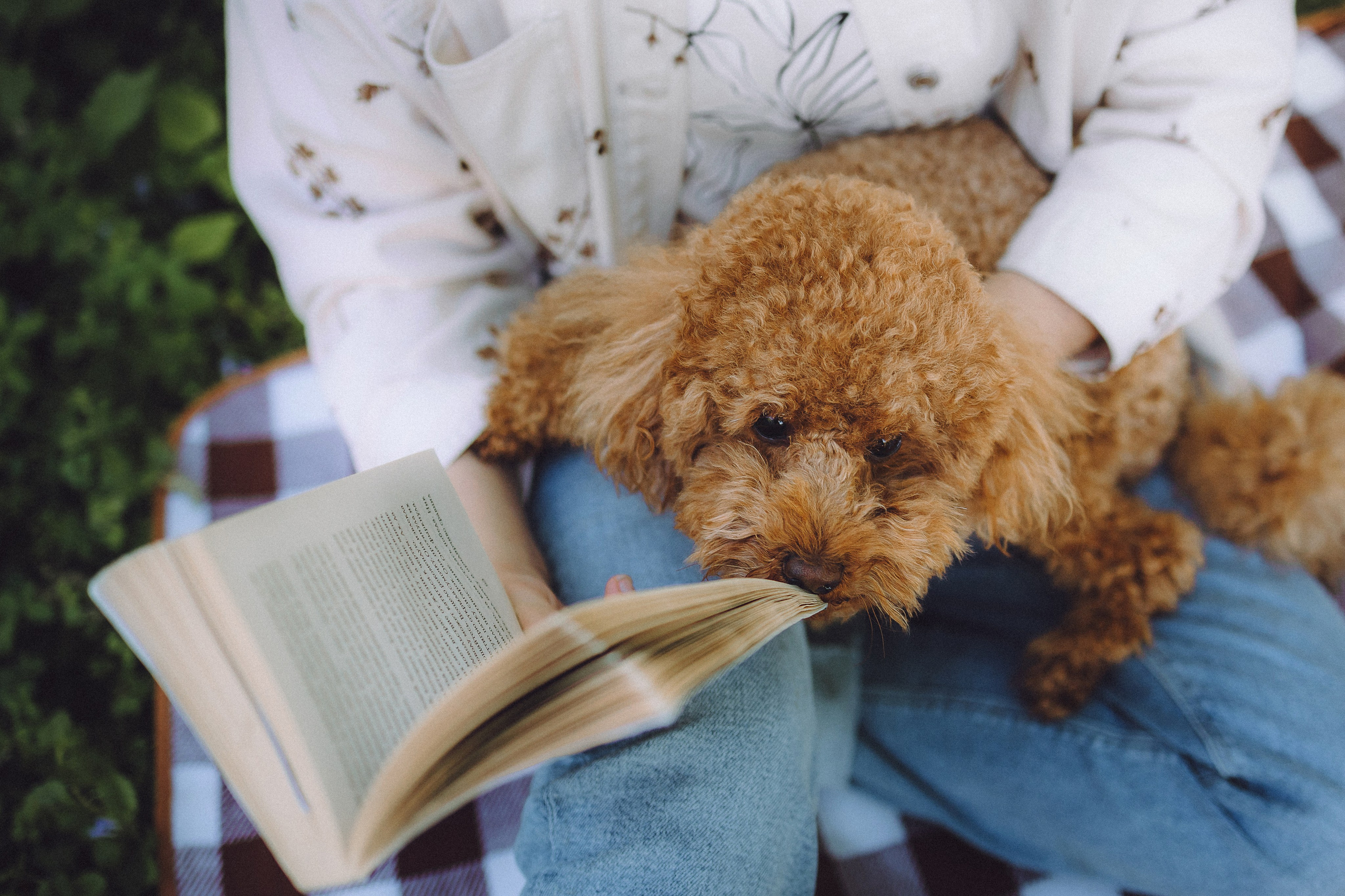 Марья и Буба