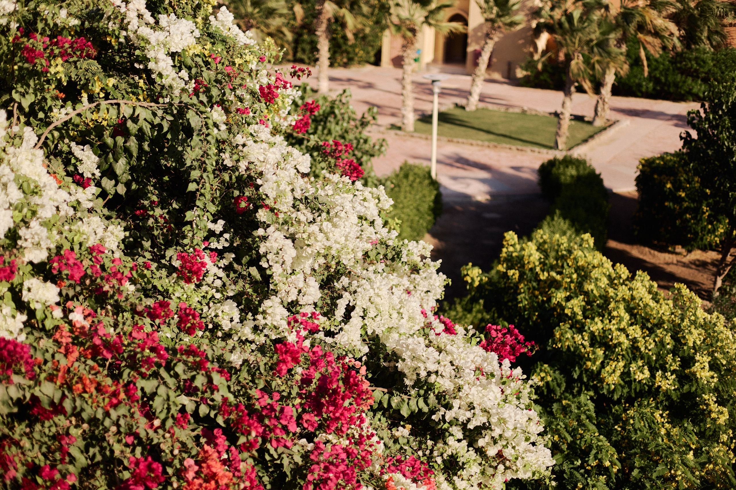 Другое 4. Jorgis — фотограф в Хургаде / обучение фотографии