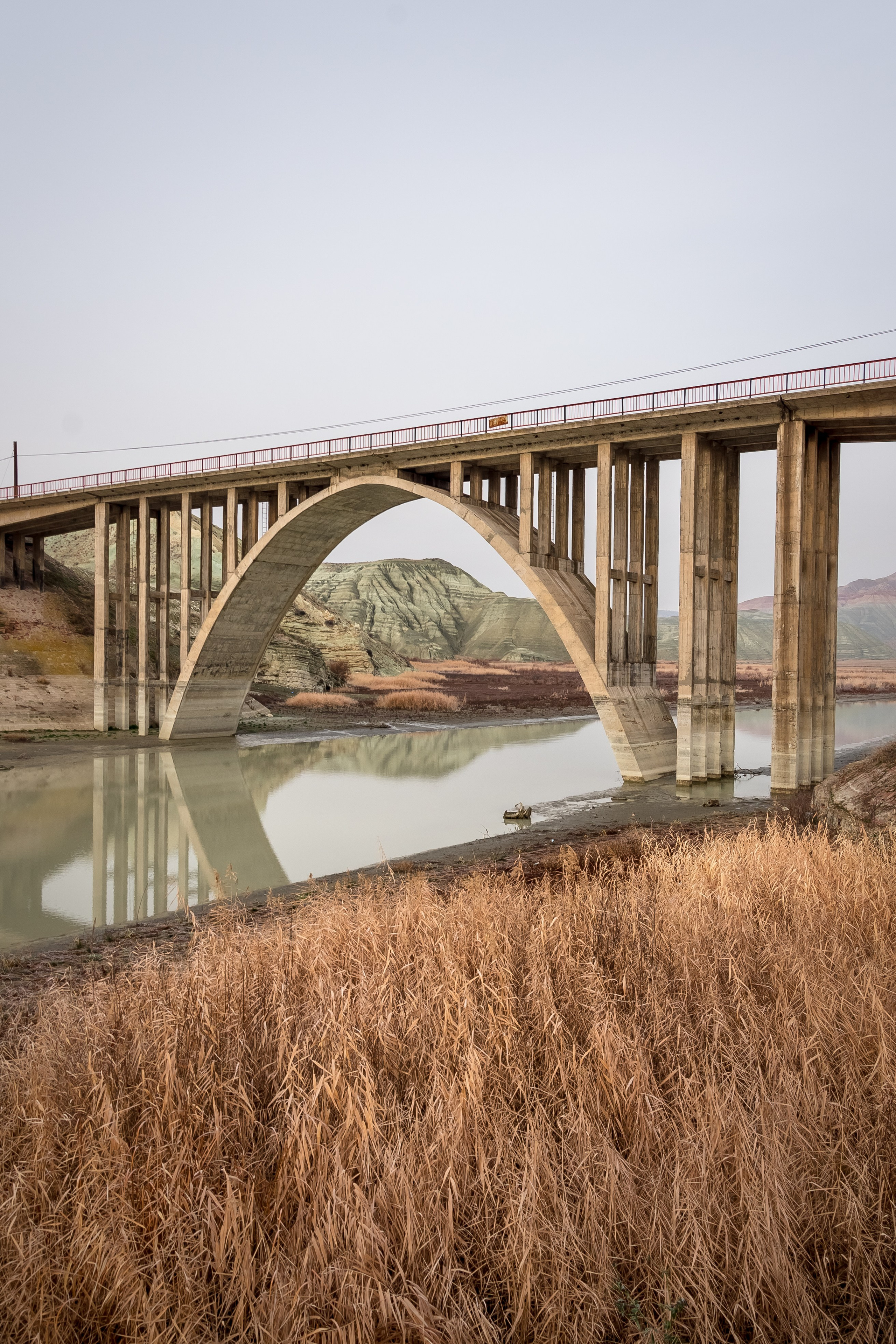 Турция, Птичий заповедник Наллихан. Юля Дэй • Фотограф, Санкт-Петербург