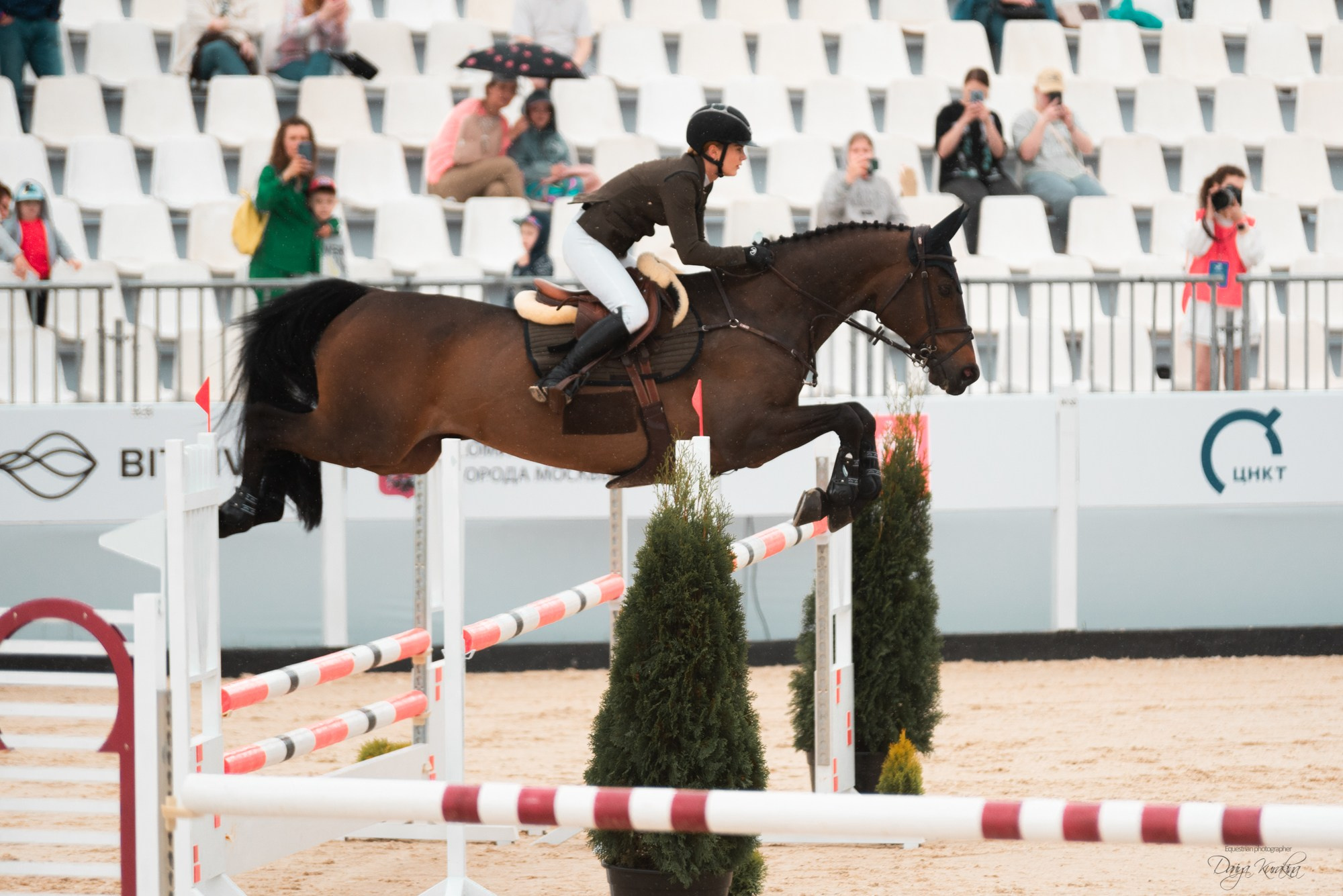 BITRIVER CUP 2023. Конный фотограф Куракина Дарья • Фотосессии с лошадьми