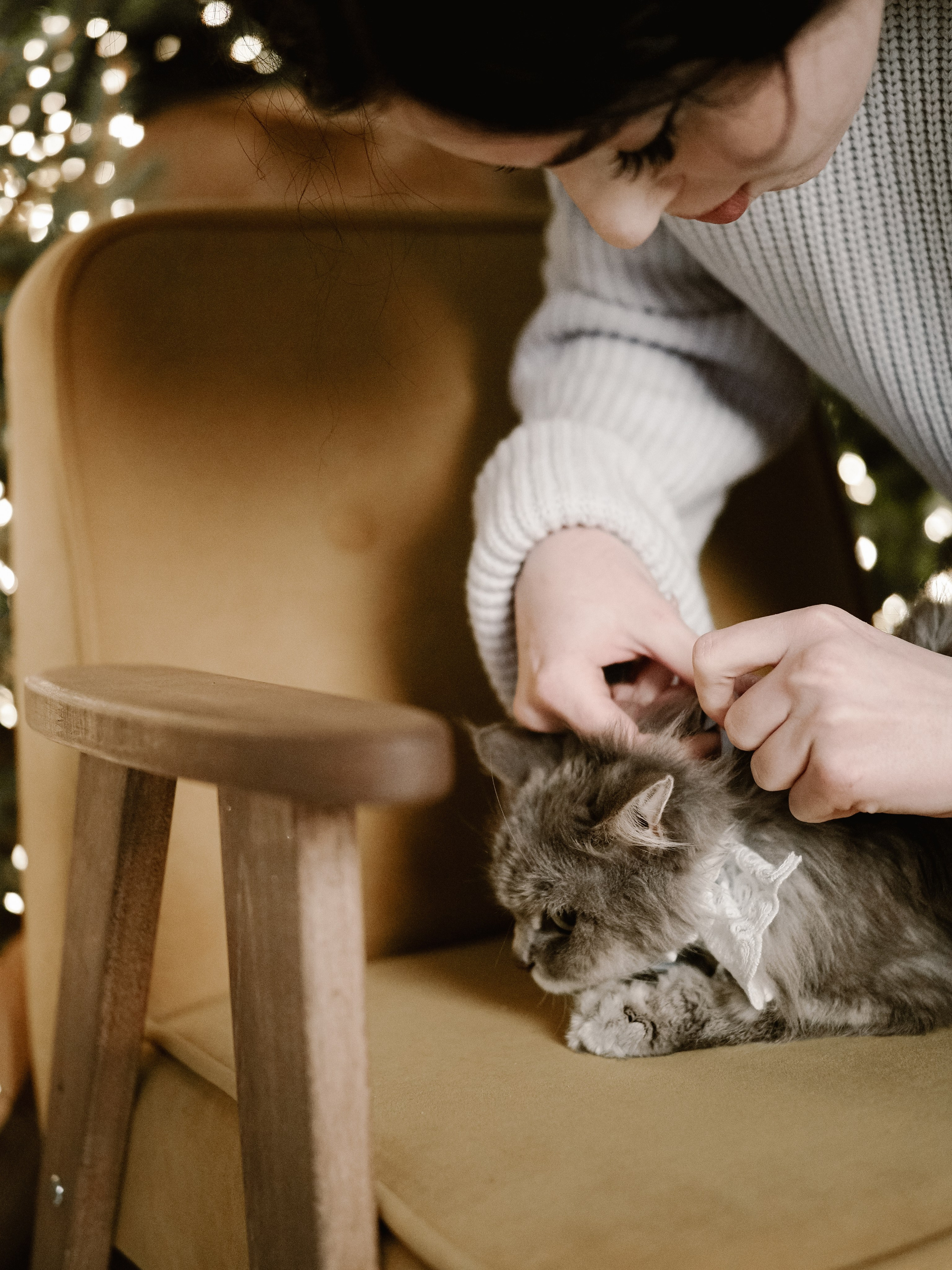 Mrrrr christmas. Фотограф Рязань. Семейный Свадебный фотограф
