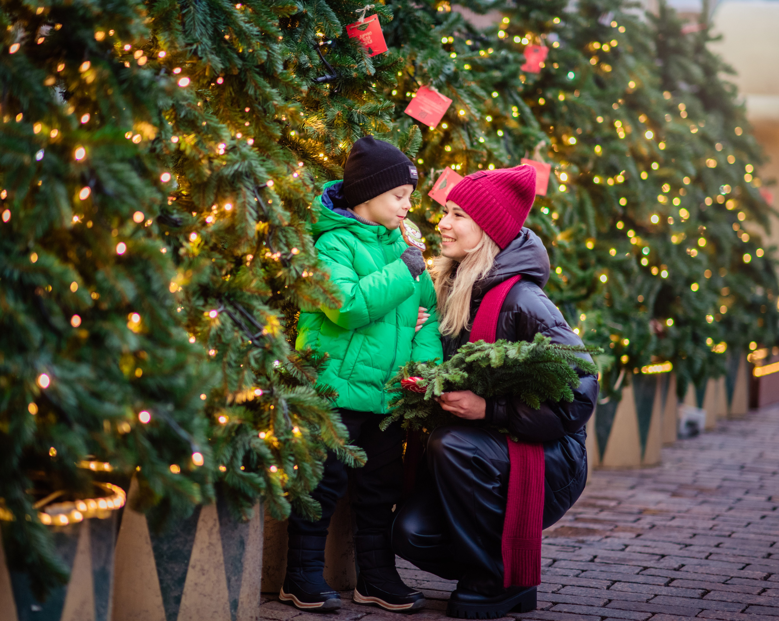 Новогодний город. Главная