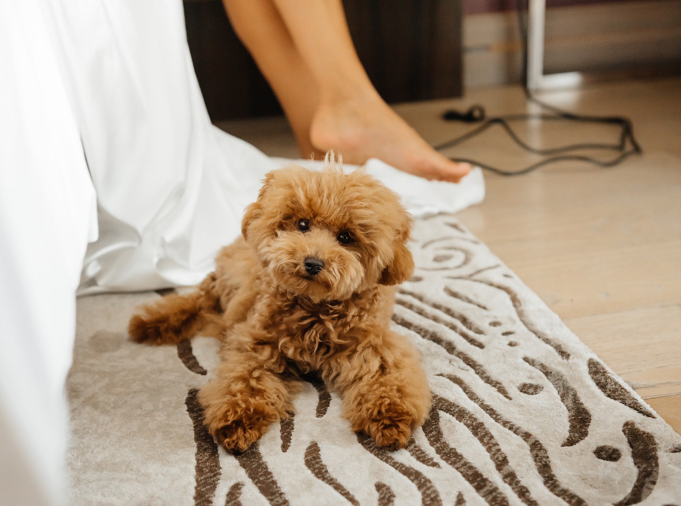 Свадьба для двоих Сочи. Фотограф Сочи Евгений Соколов