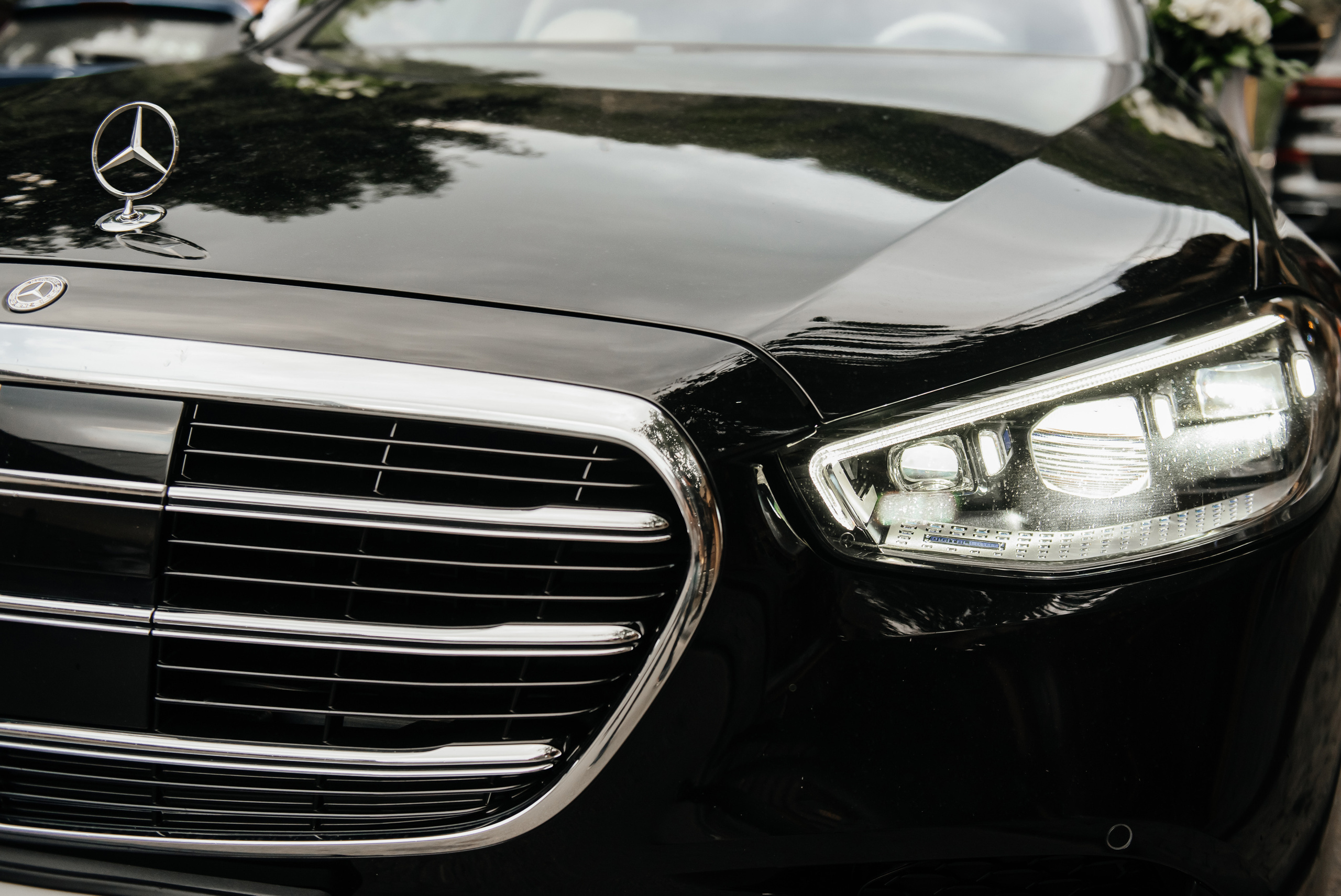 Свадьба для двоих Сочи. Фотограф Сочи Евгений Соколов