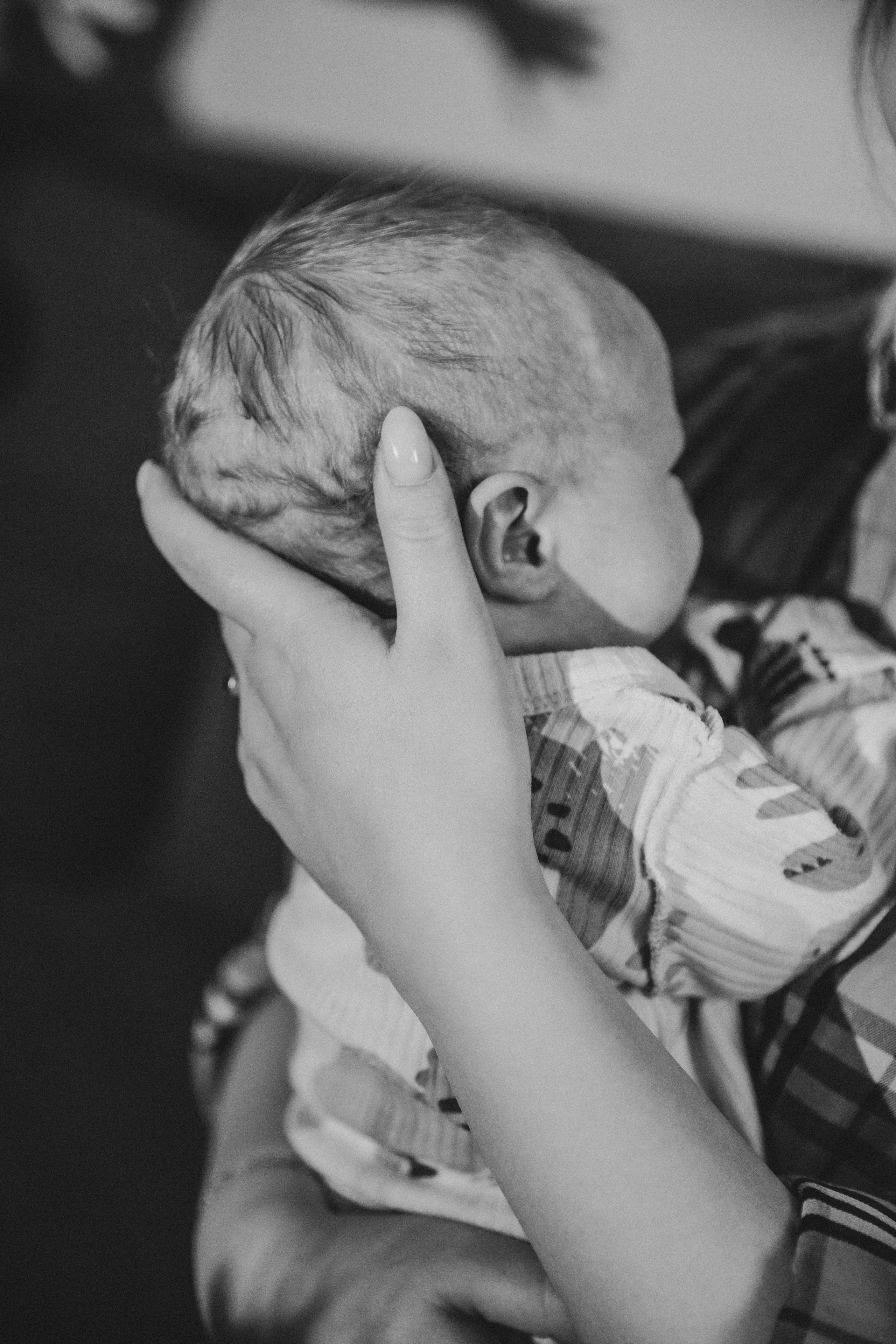 Лев. Фотограф Анастасия Петрова