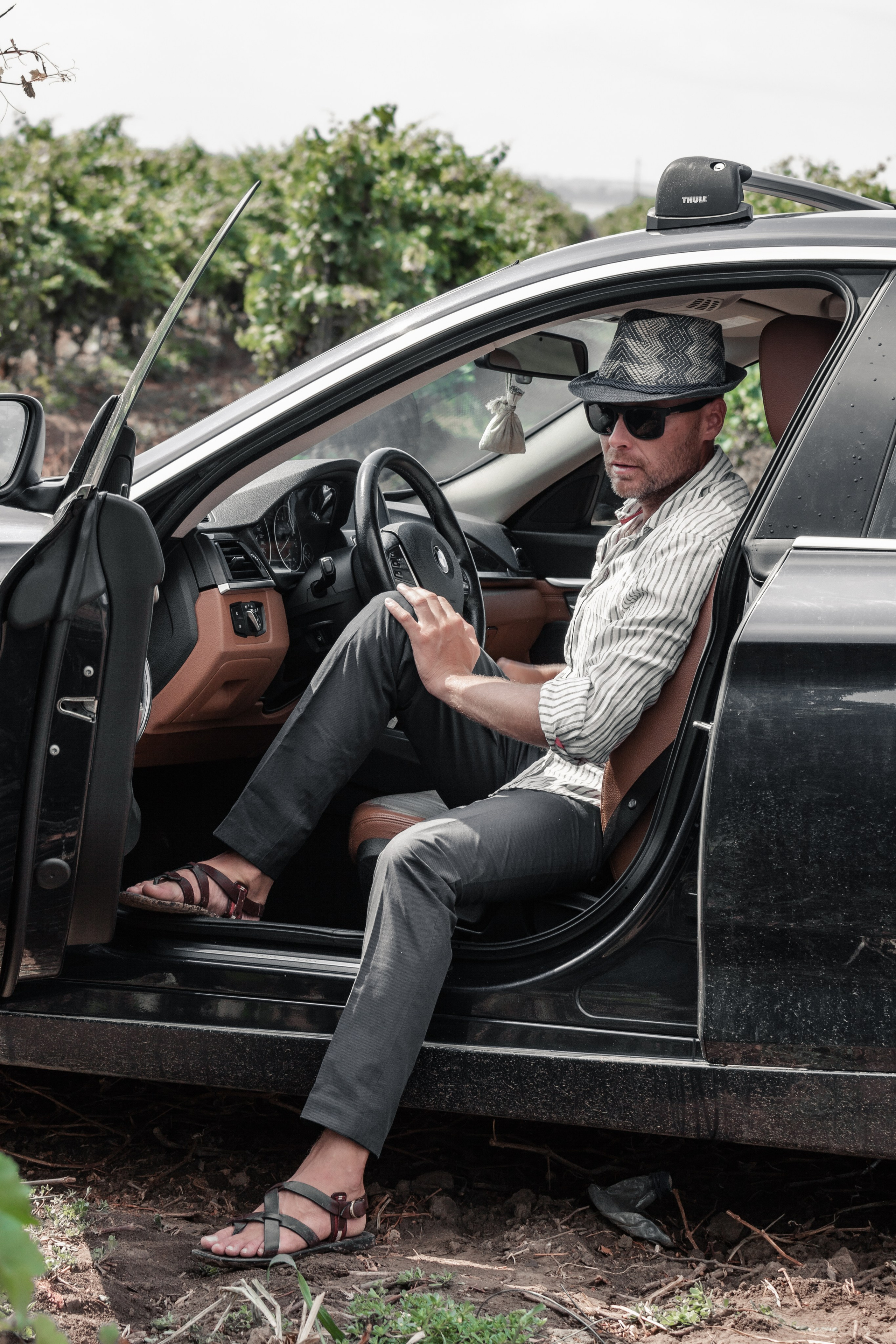 Kuban vineyards. Дария Галямова — фотограф: открытый, творческий, коммерческий