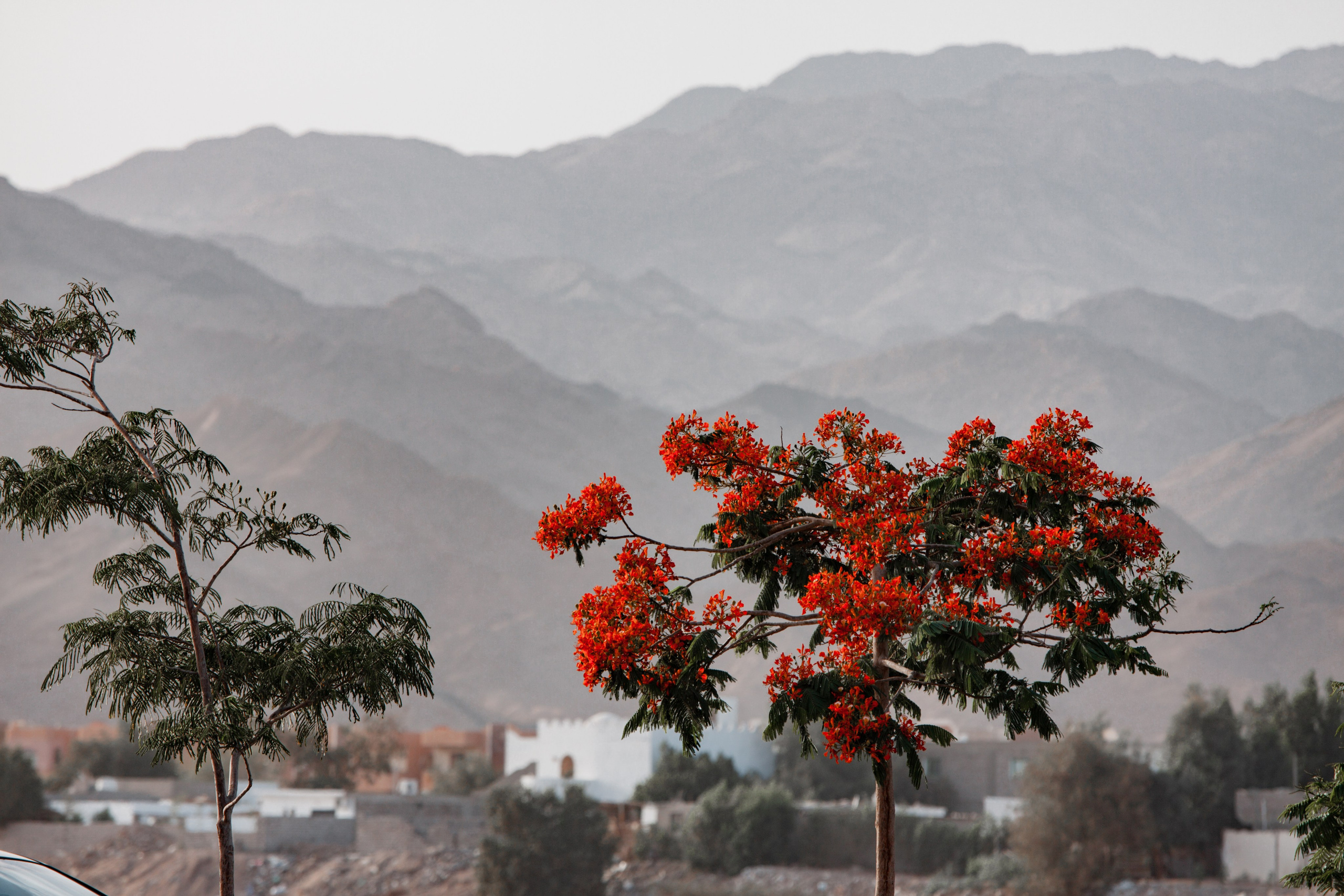 ДарияГалямова — фотограф: открытый, творческий, коммерческий