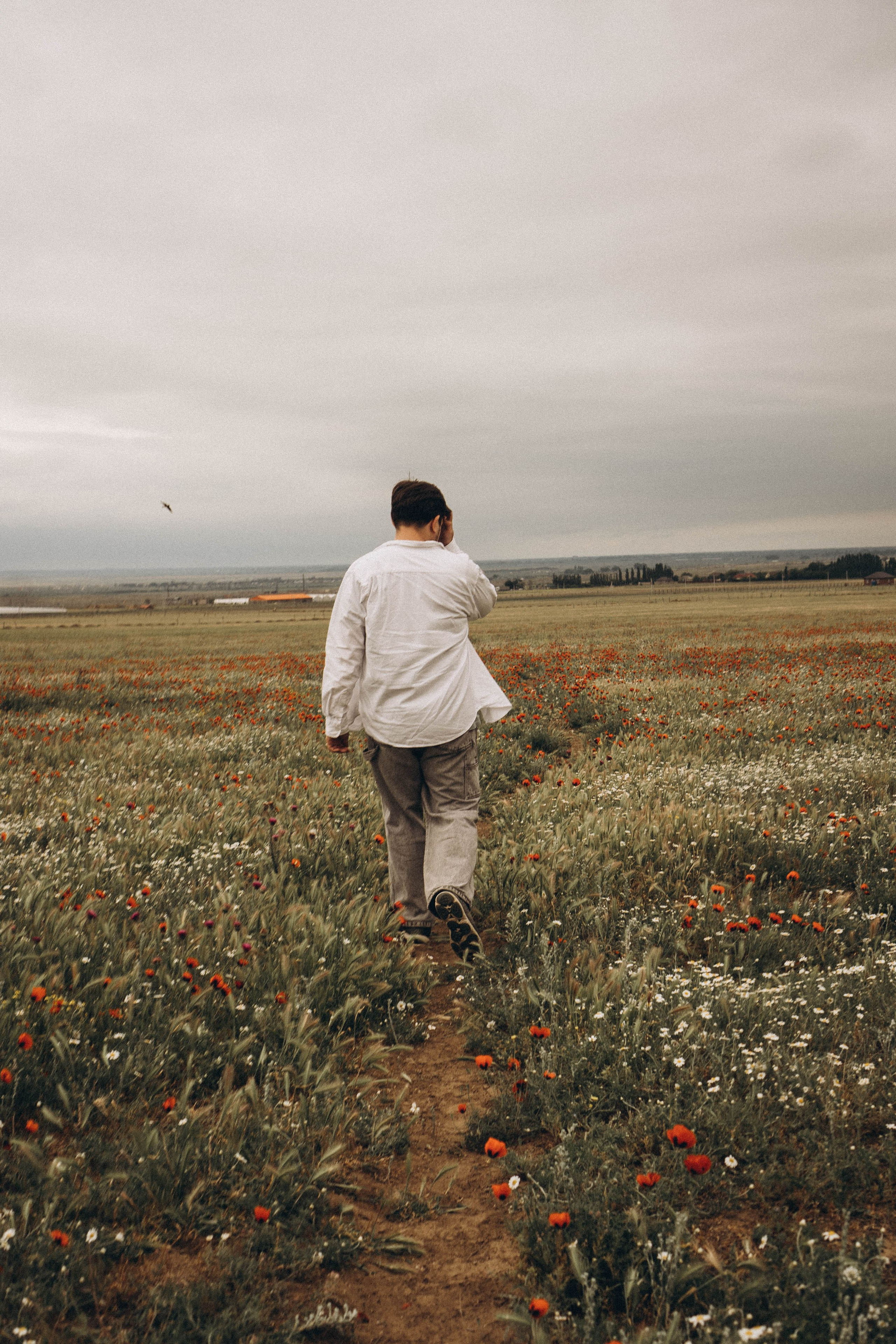 Маки. Профессиональный фотограф, Санкт-Петербург — Виктория Богомолова