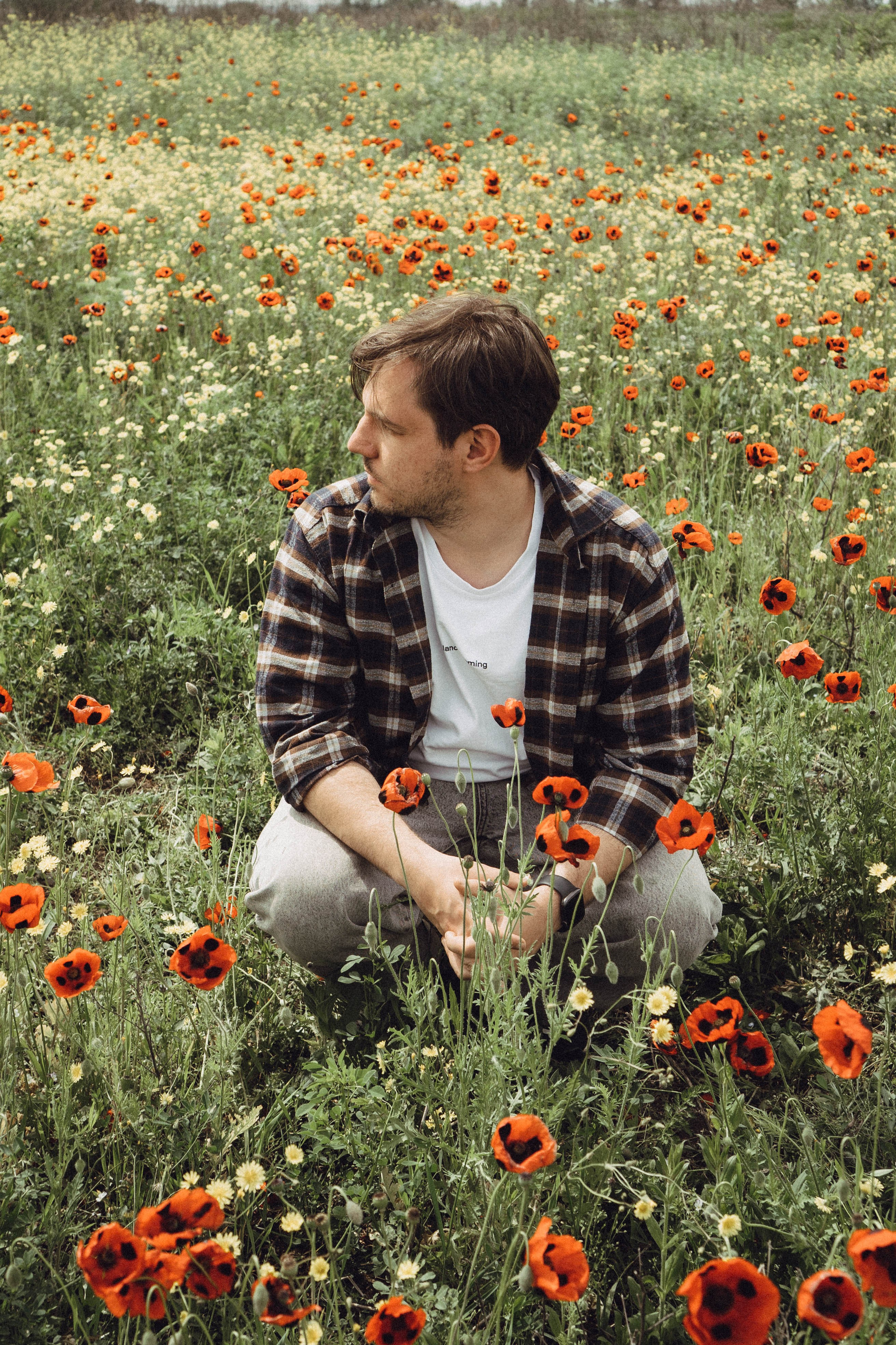 Маки. Профессиональный фотограф, Санкт-Петербург — Виктория Богомолова
