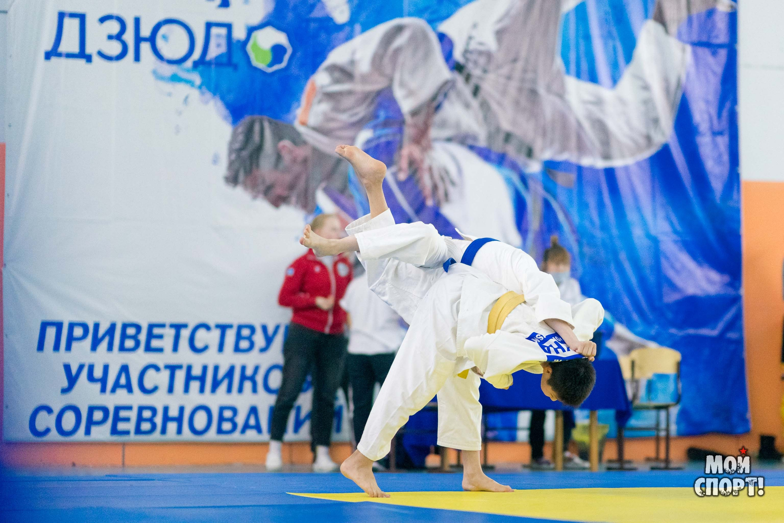 Кубок и первенство РС (Я) по дзюдо. Студия «Мой Спорт!» — все о спорте в Якутии