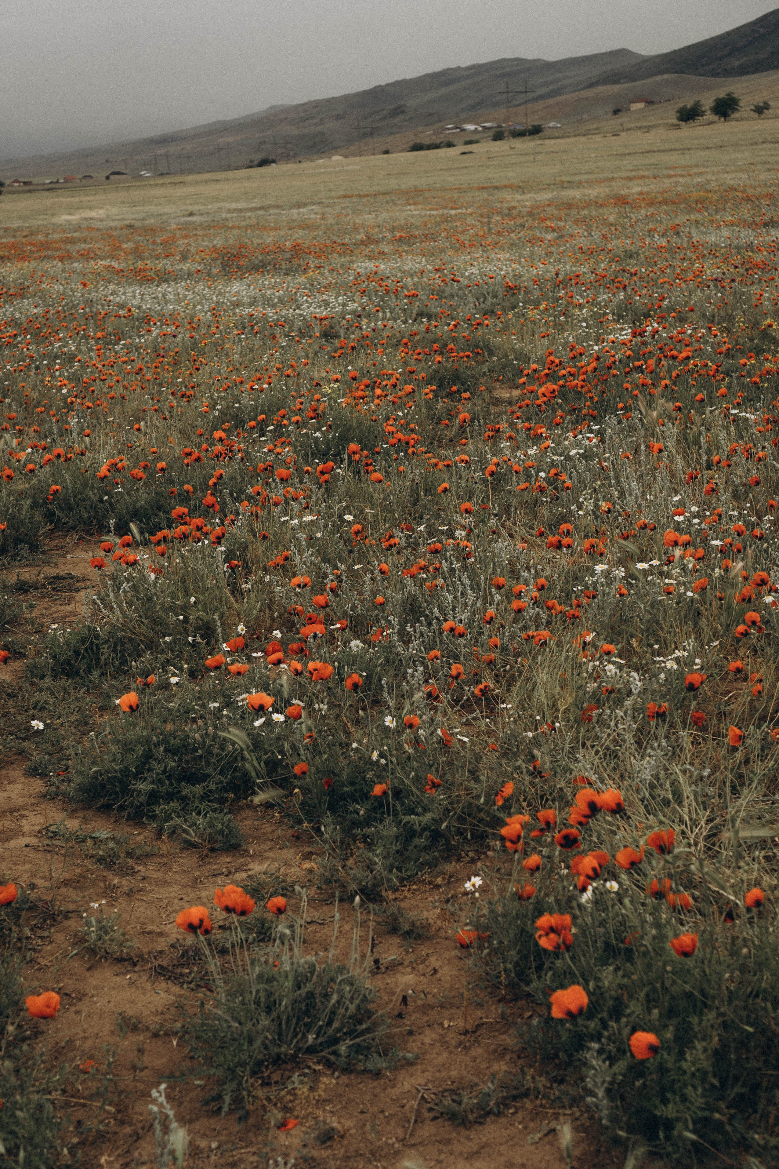 Путешествие в Дагестане. Профессиональный фотограф, Санкт-Петербург — Виктория Богомолова