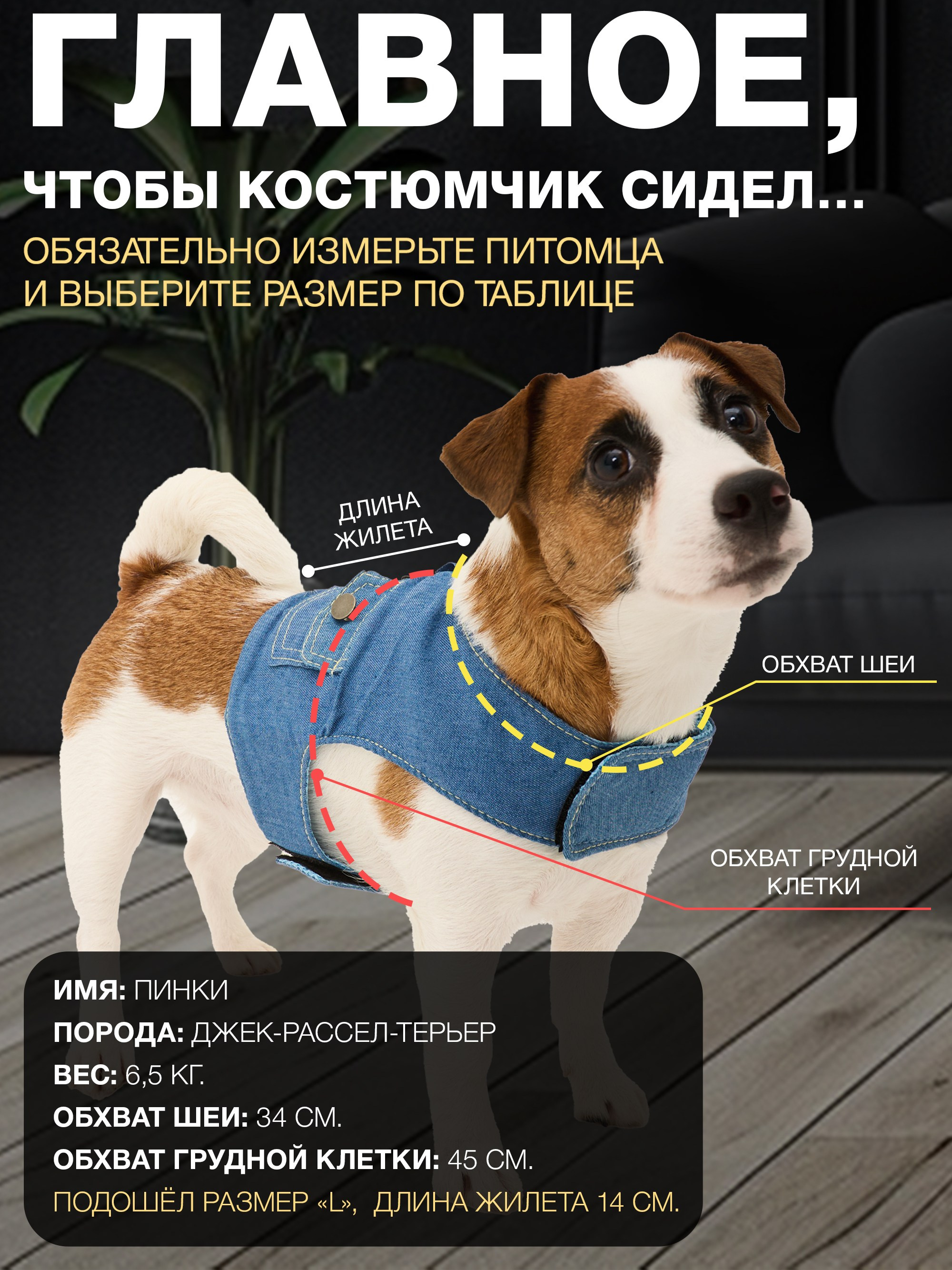 Инфографика. IDeAI studio