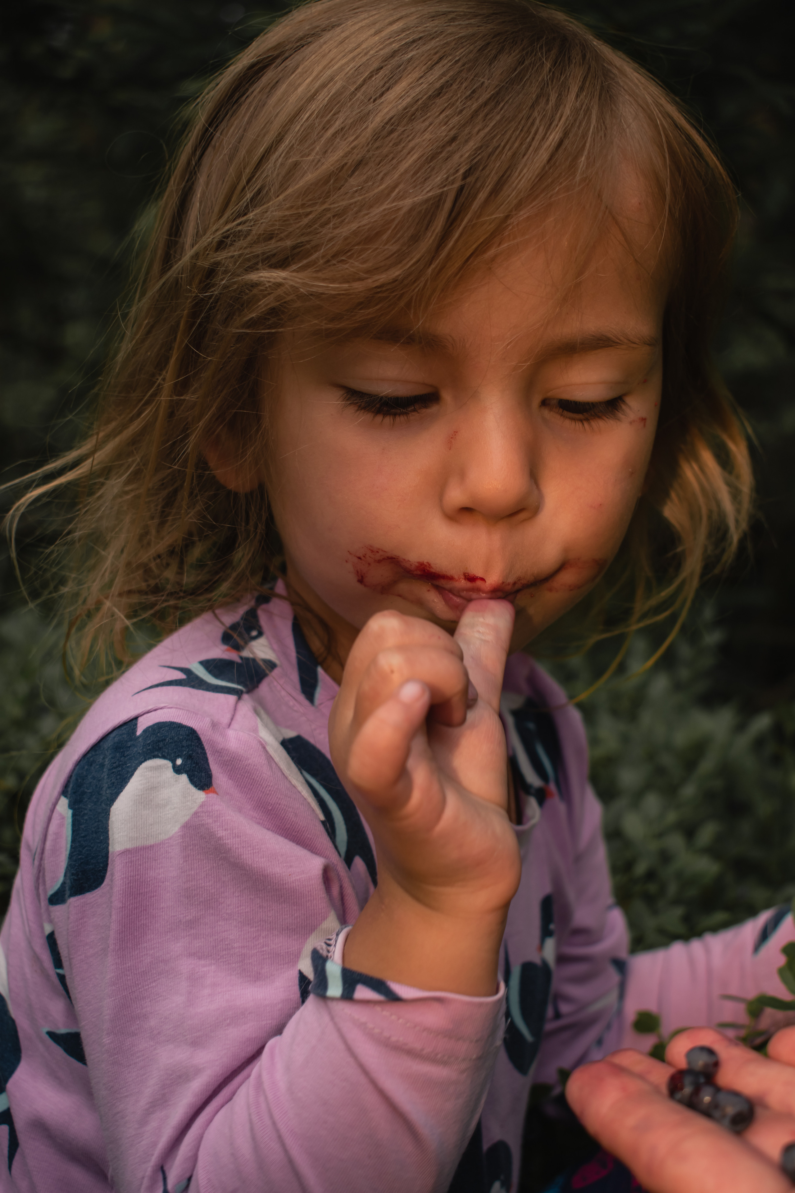 Сбор ягод. Gorskinadarya.ru