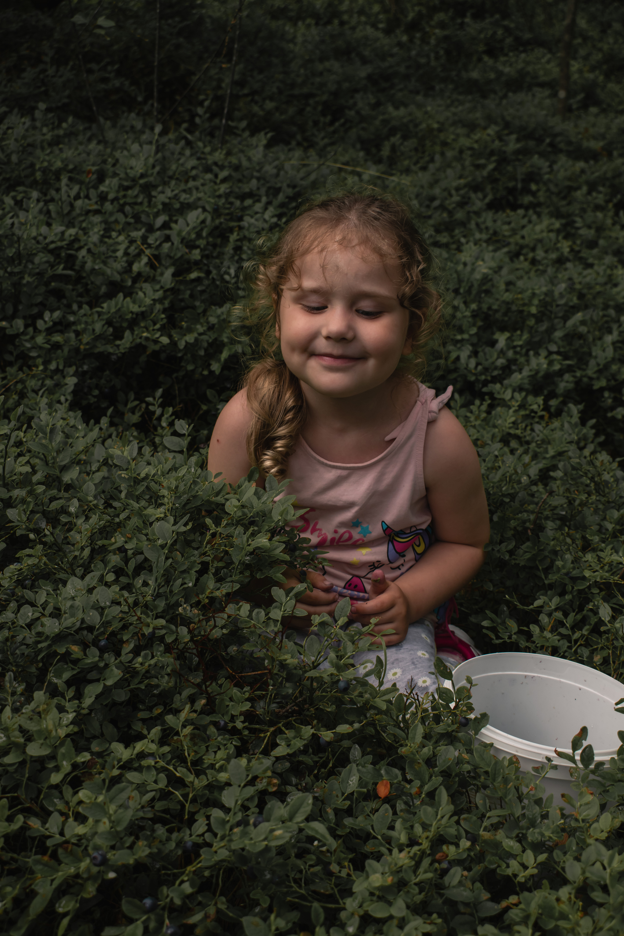 Сбор ягод. Gorskinadarya.ru