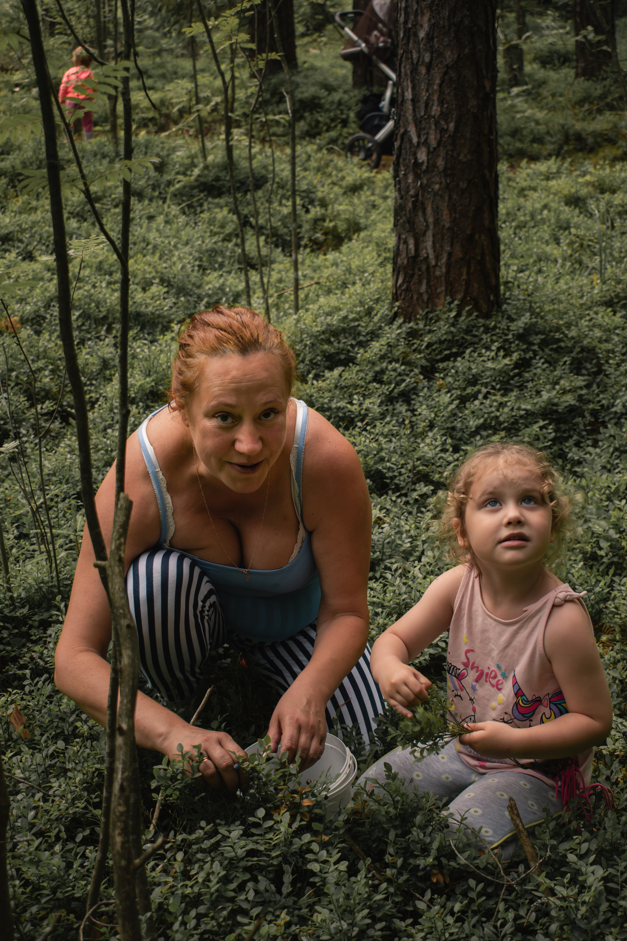 Сбор ягод. Gorskinadarya.ru