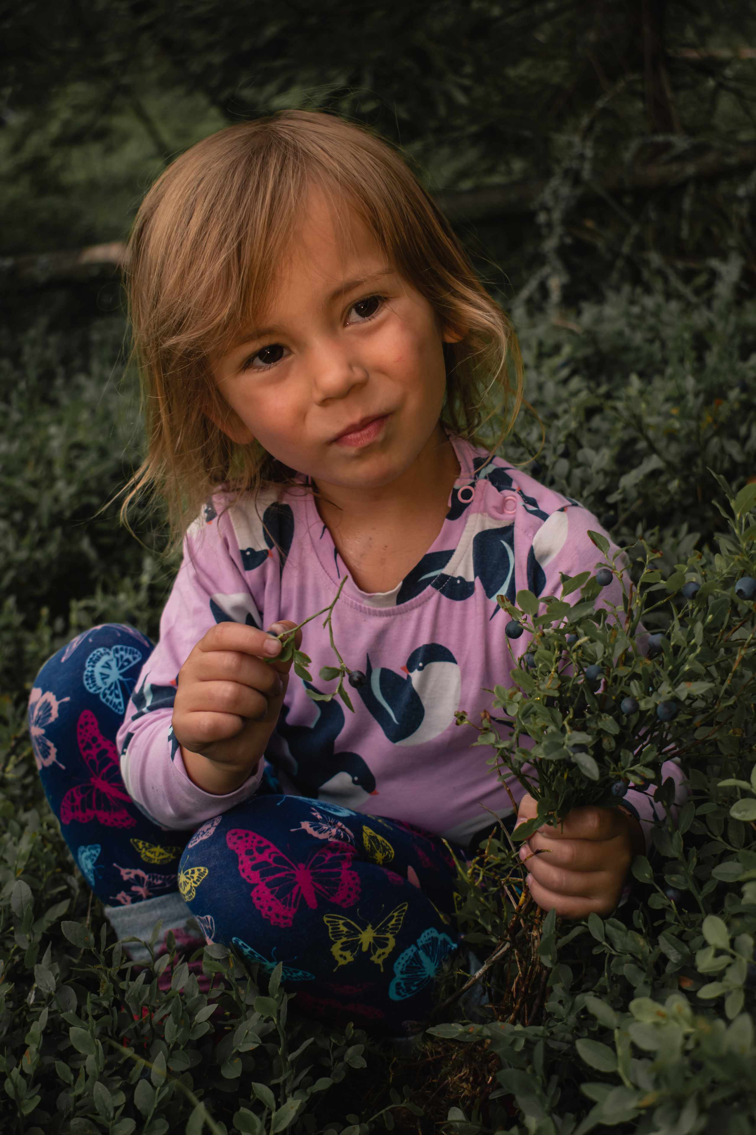 Сбор ягод. Gorskinadarya.ru