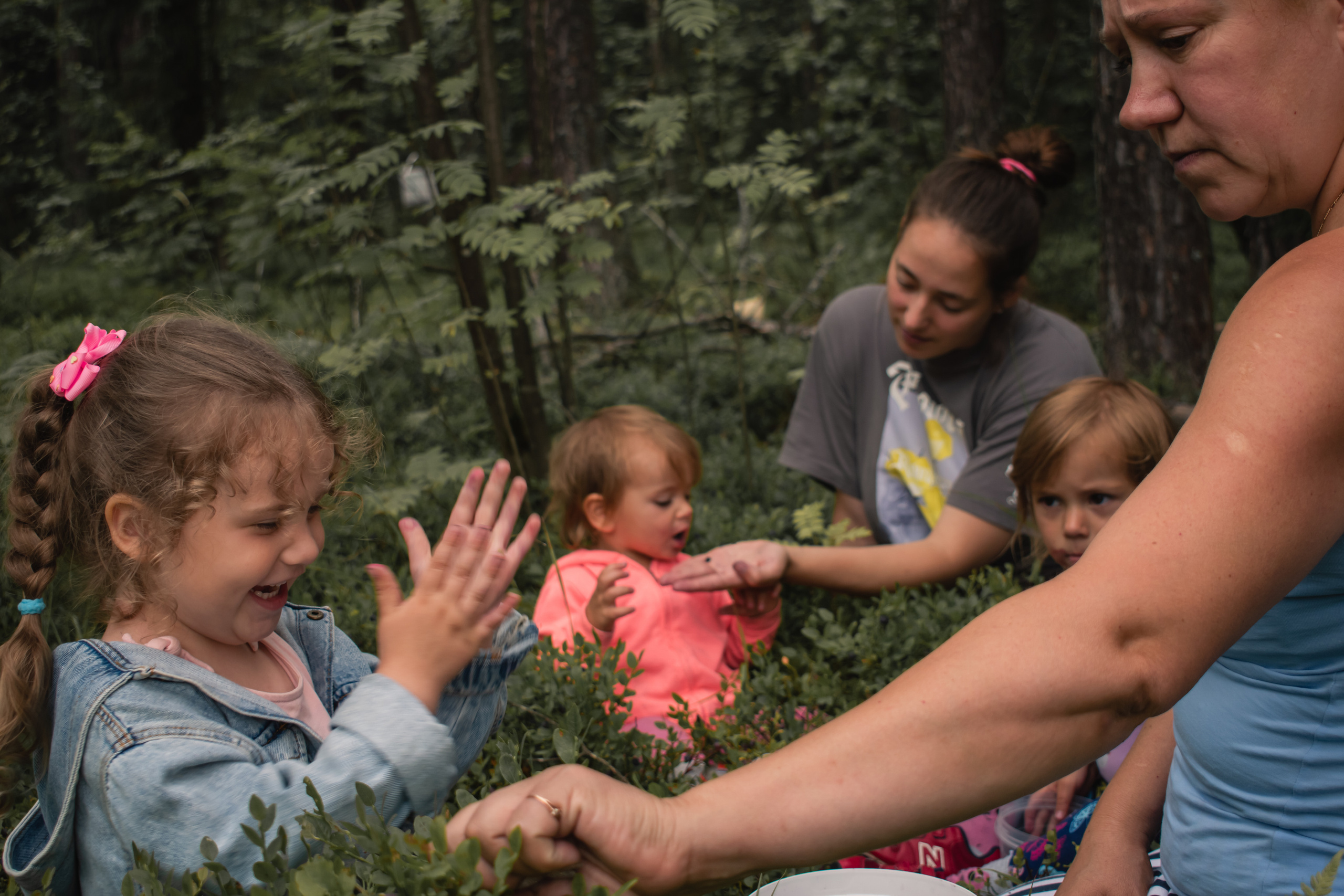 Сбор ягод. Gorskinadarya.ru