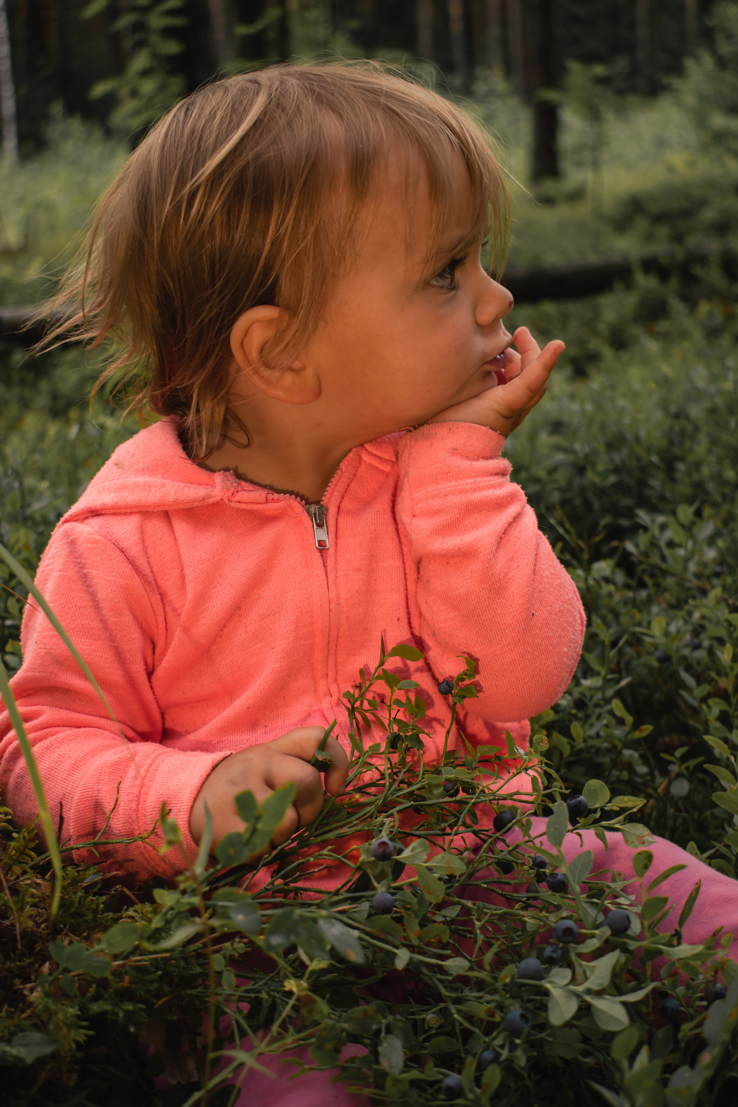 Сбор ягод. Gorskinadarya.ru