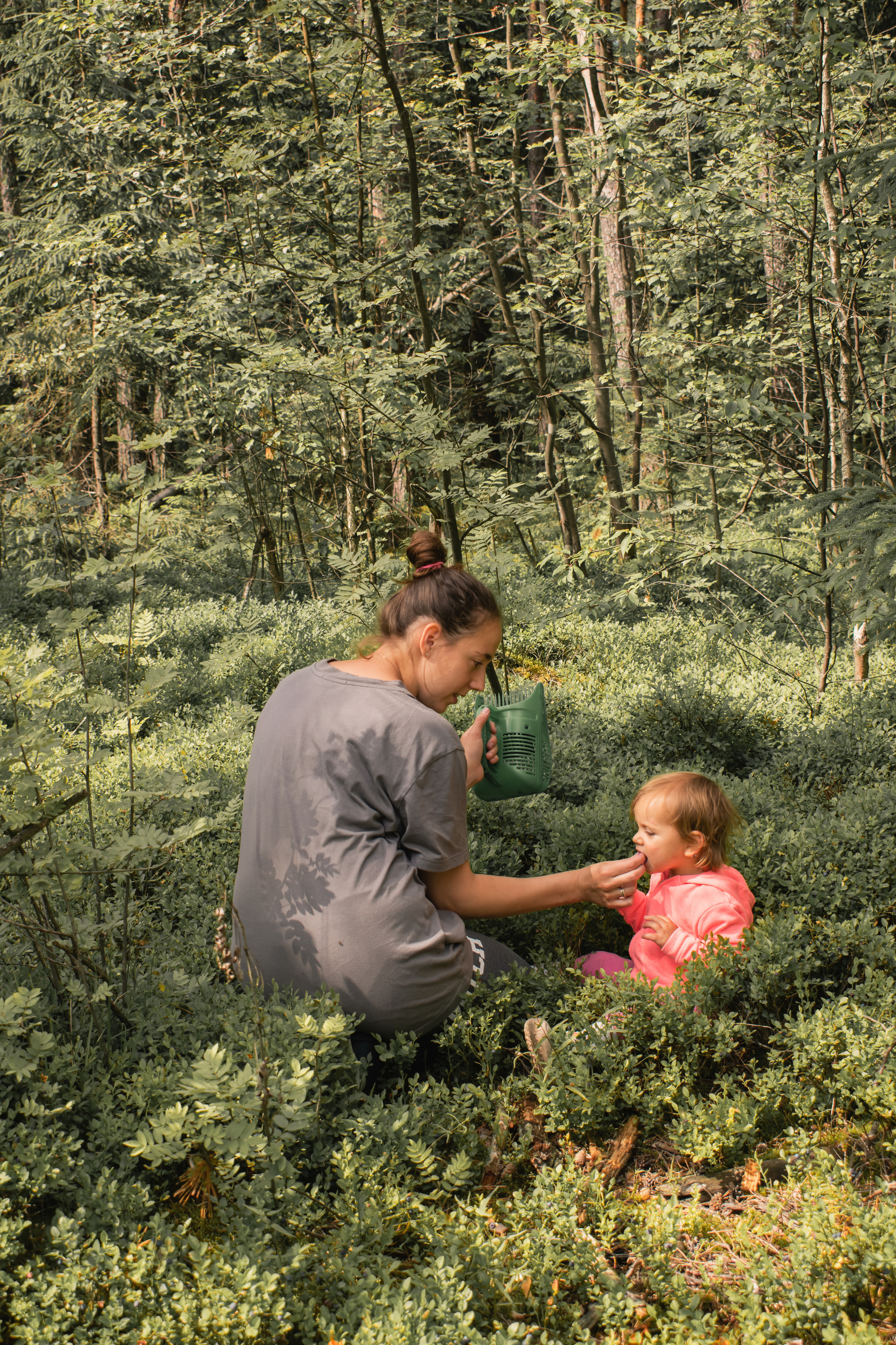 Сбор ягод. Gorskinadarya.ru