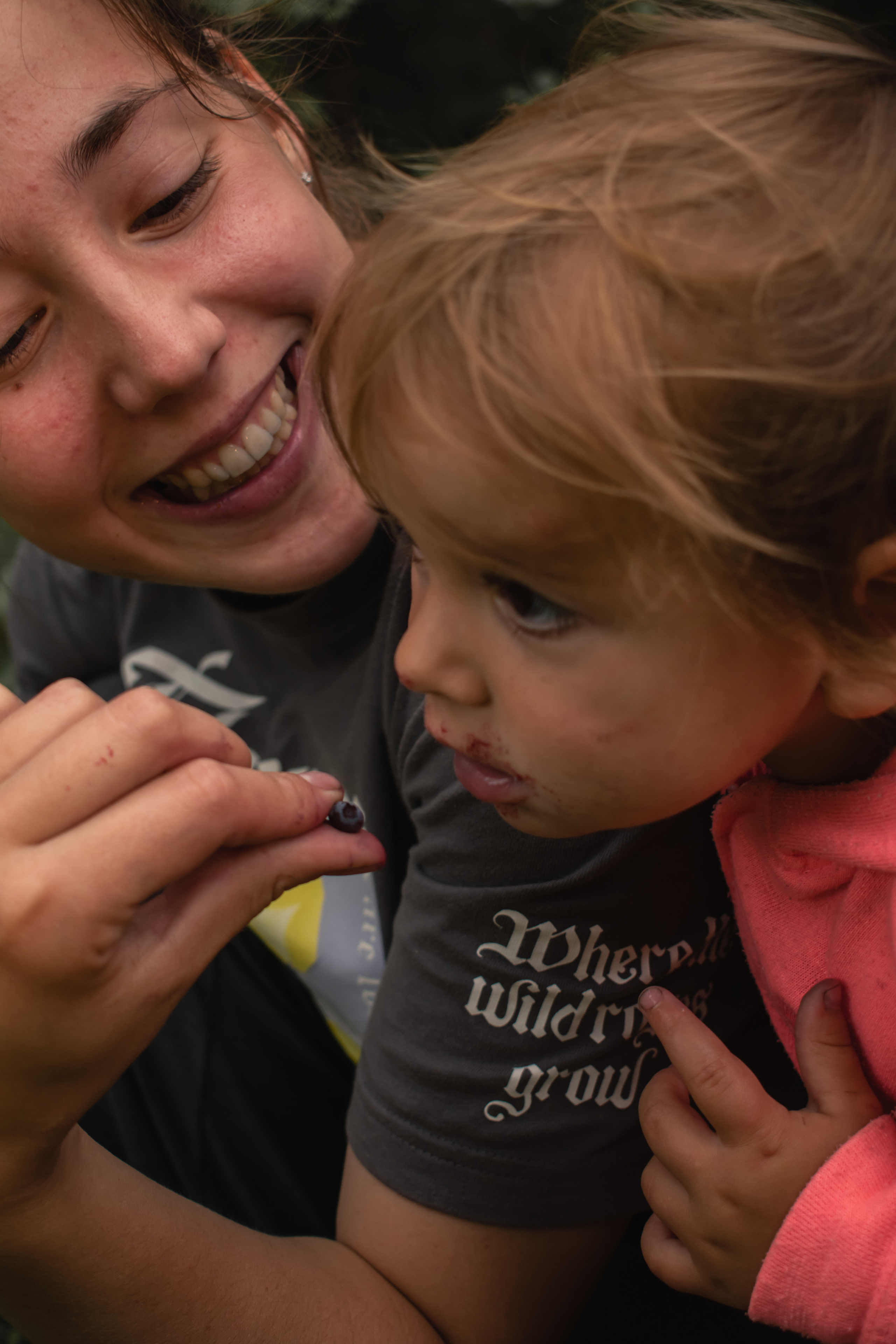 Сбор ягод. Gorskinadarya.ru