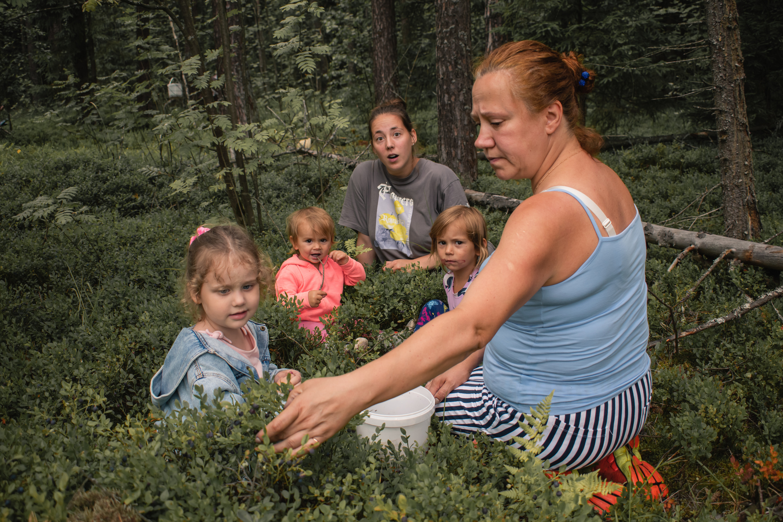 Сбор ягод. Gorskinadarya.ru