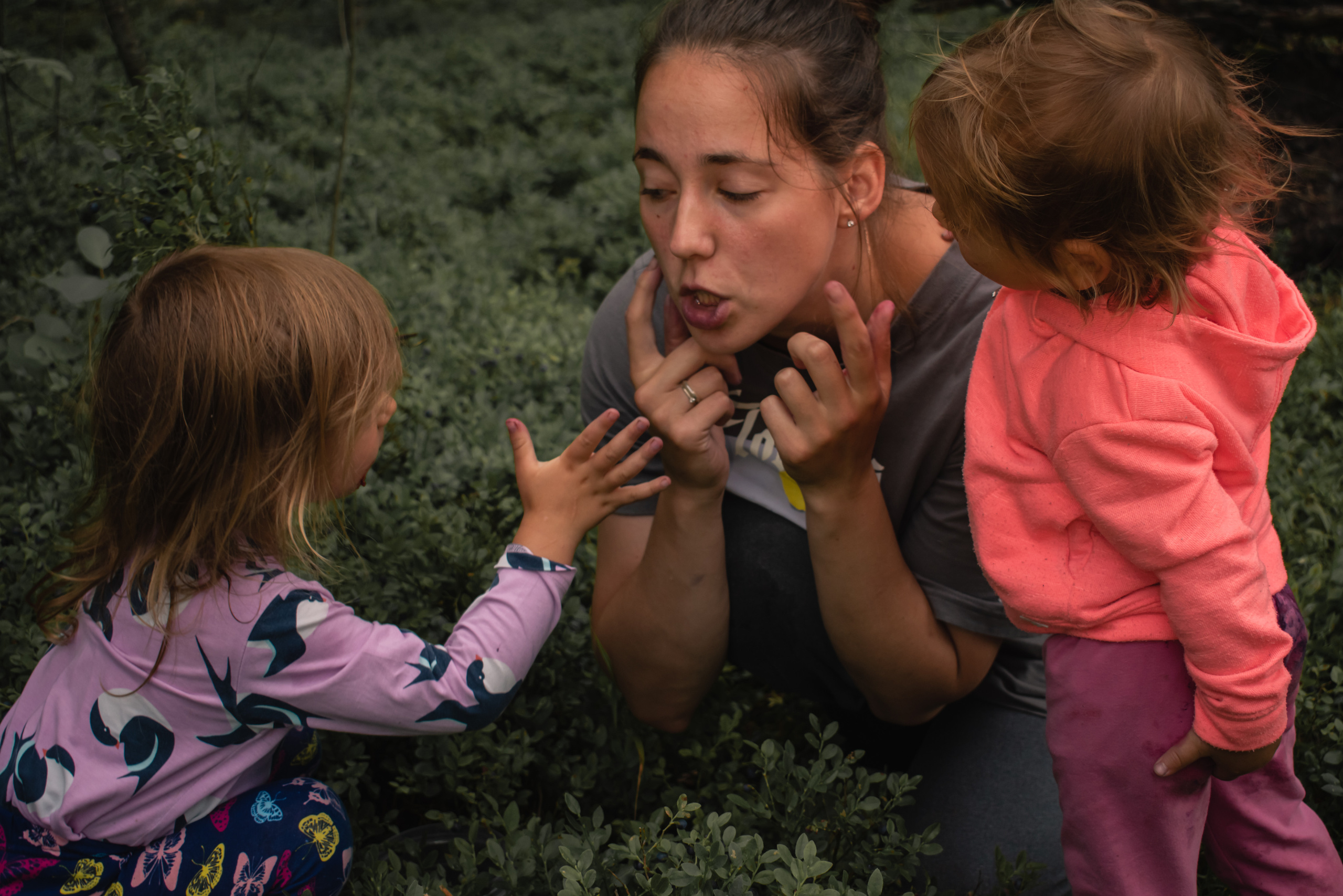 Сбор ягод. Gorskinadarya.ru