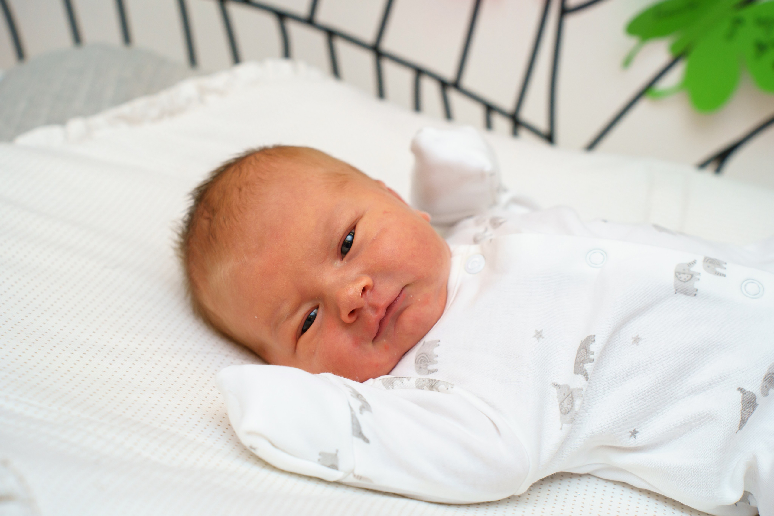 Скандинавия. Главная