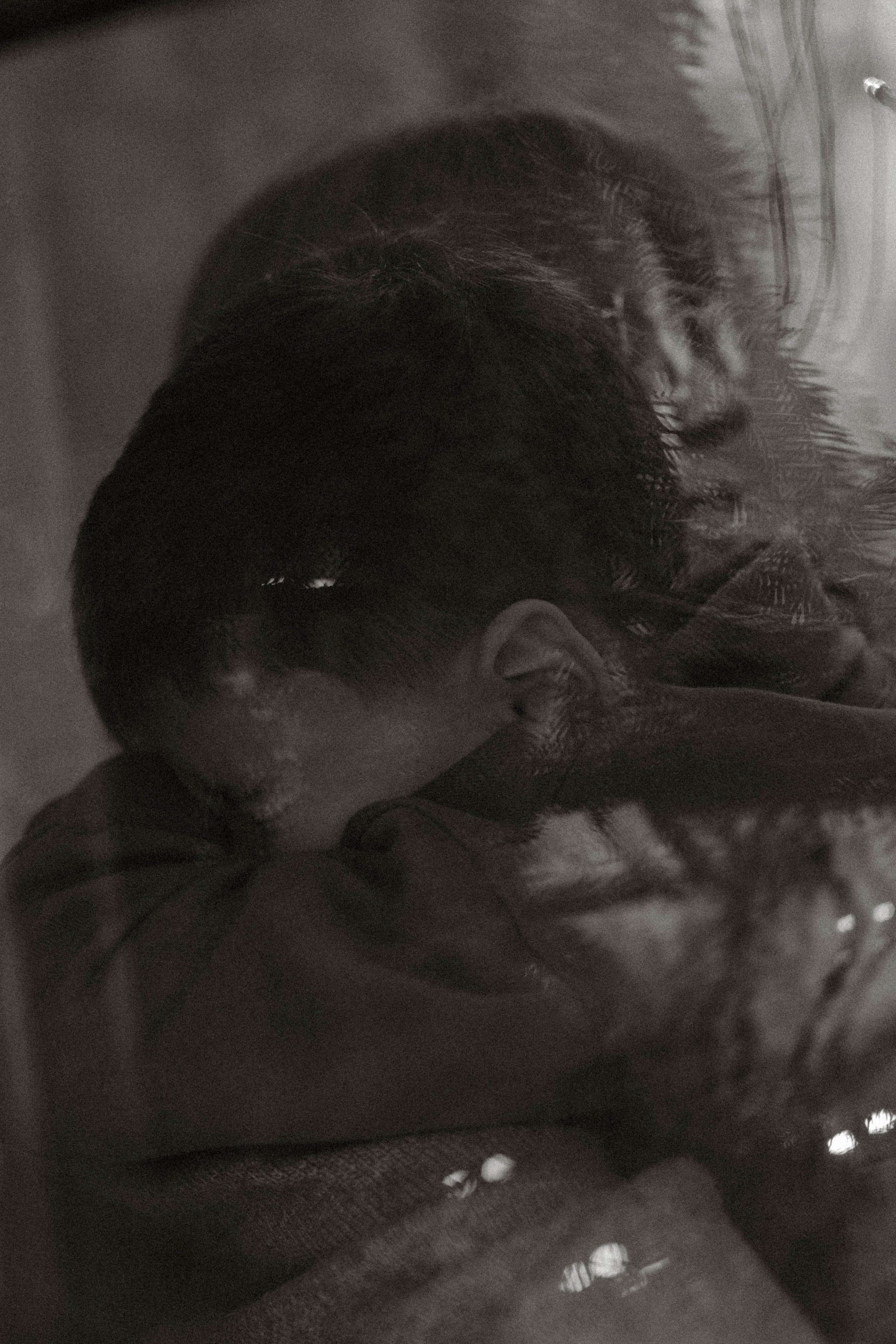 Вера, Егор. Семейный фотограф Юлия Котова