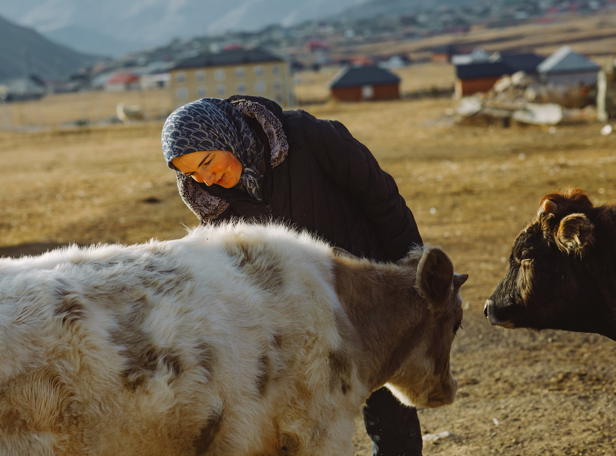 Dagestan. Seasons. Autumn. Documentary and art photographer Alexey Terentyev