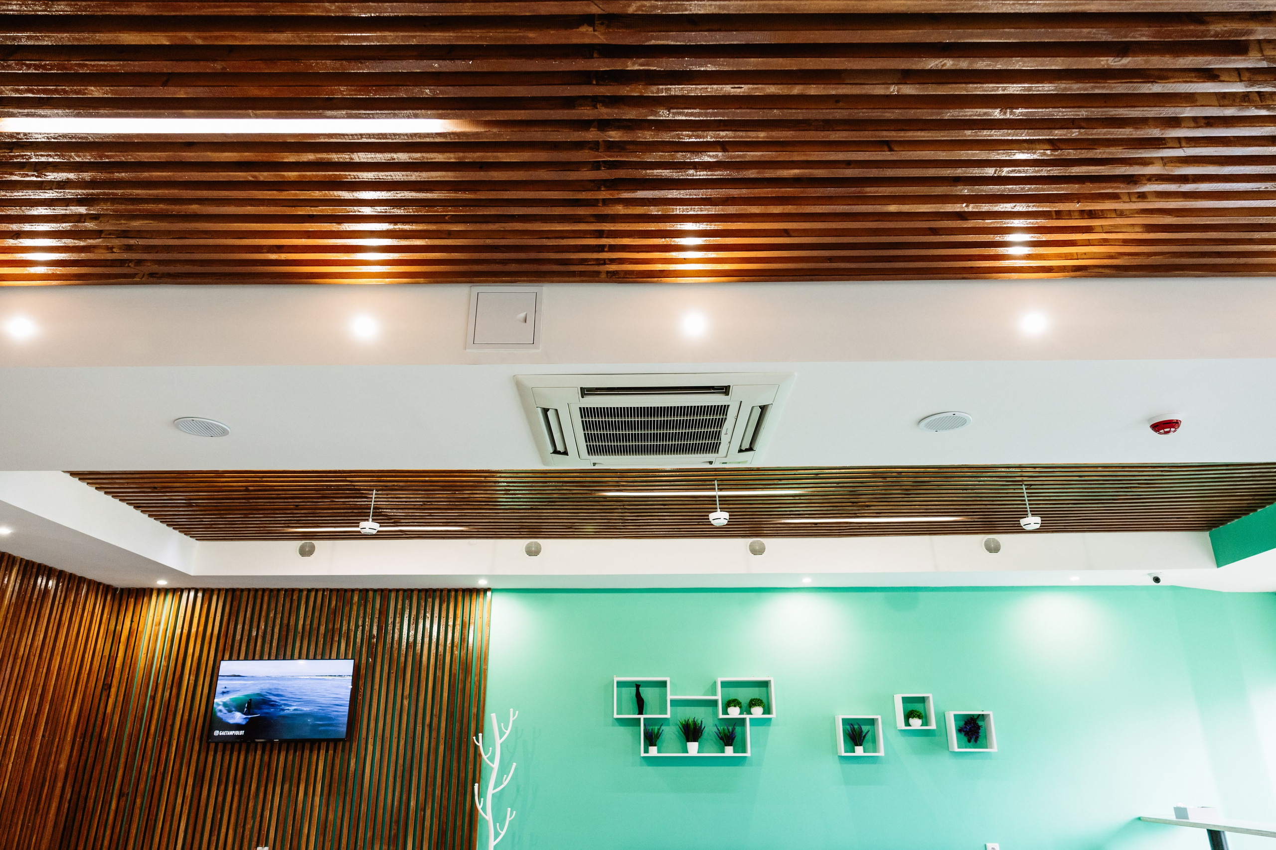 ЧЕБ И РЕК | Коломна, Зайцева 13. ФОТОГРАФ ИРИНА ШАМАТАВА