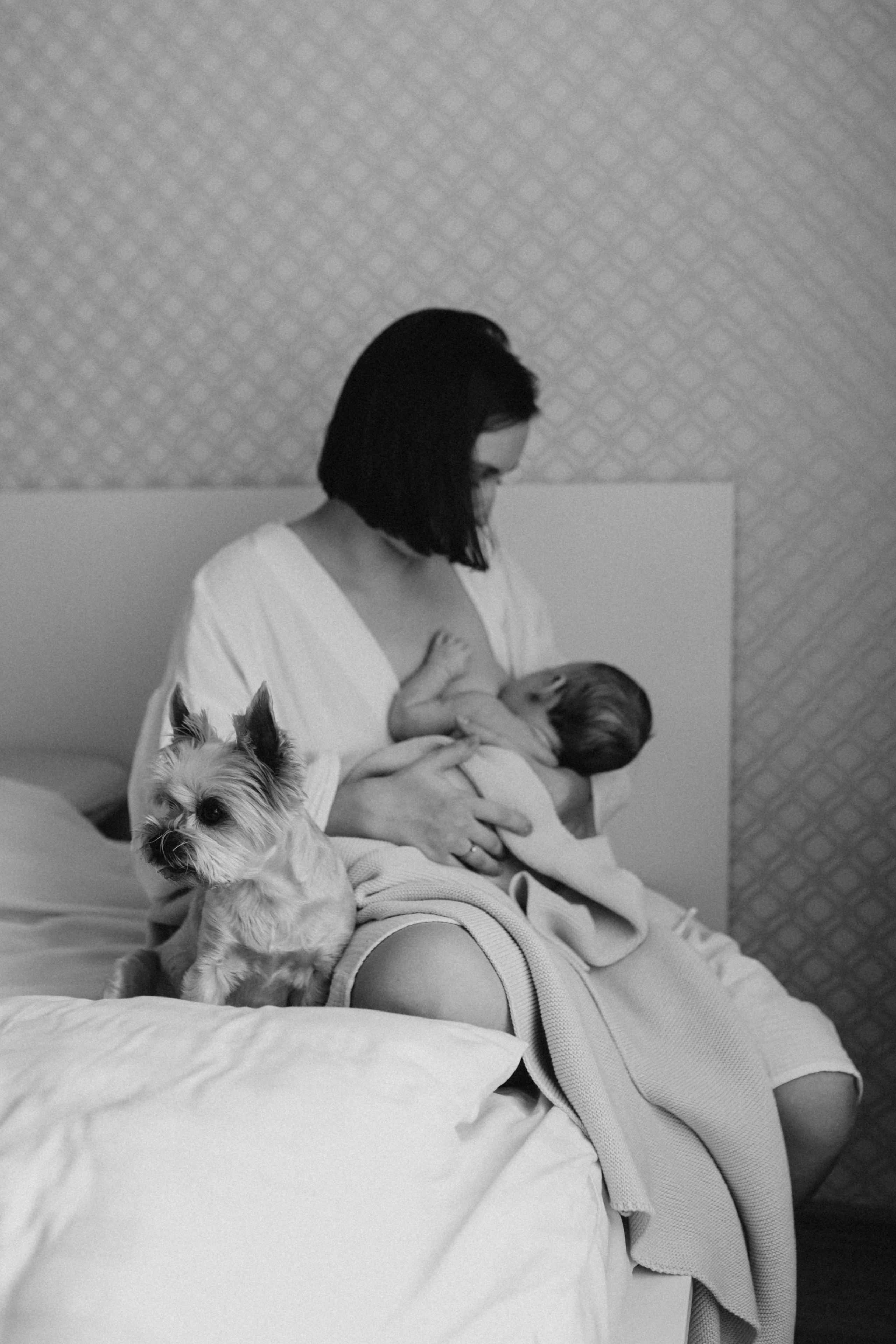 Миша. 1 месяц🤍. Фотограф на роды в Санкт-Петербурге, семейный, нью-борн Алиса Хрекова